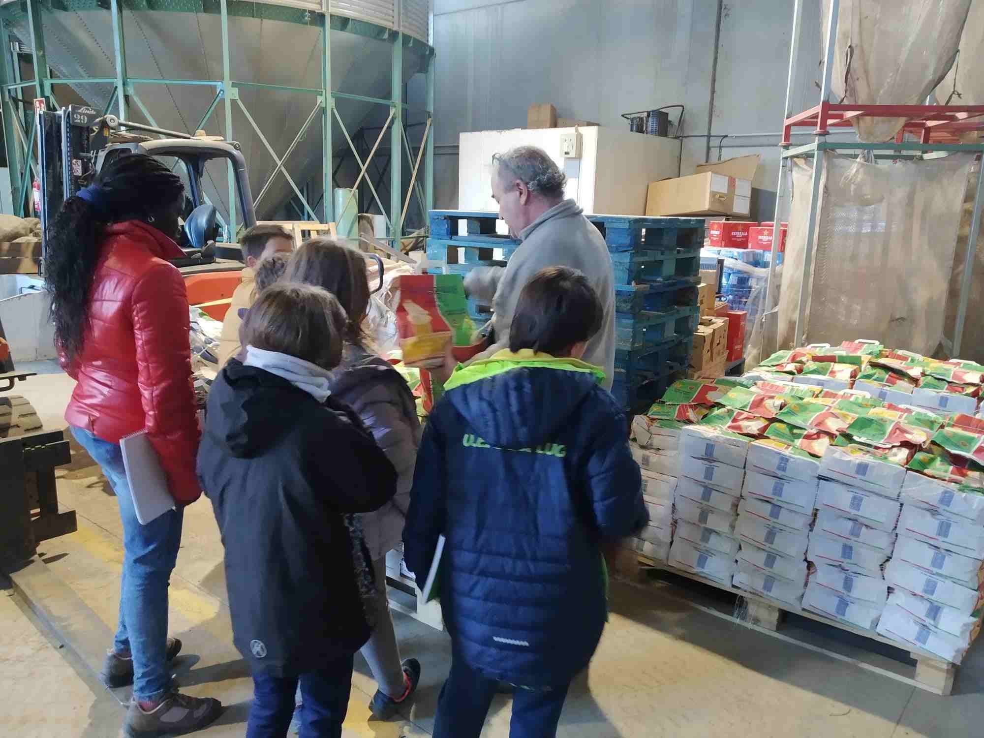 cooperativa cm patates (2)