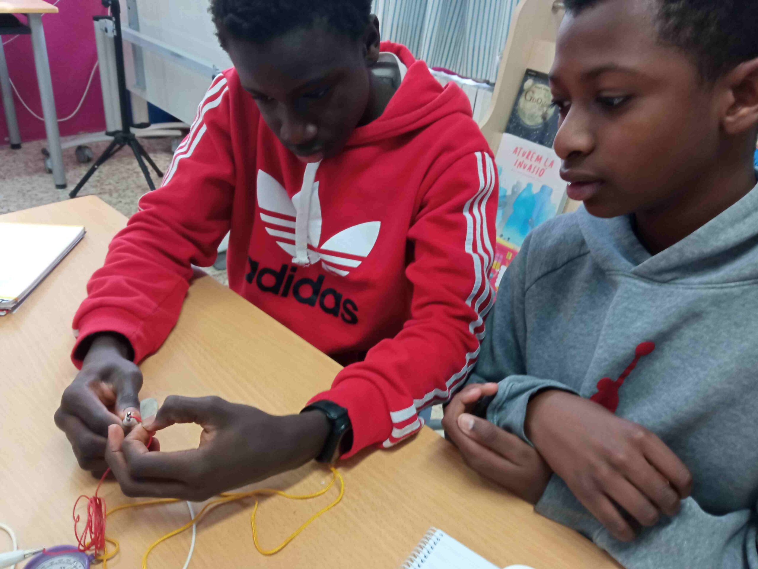 MISSIO ALBA 2 FORÇA (2)