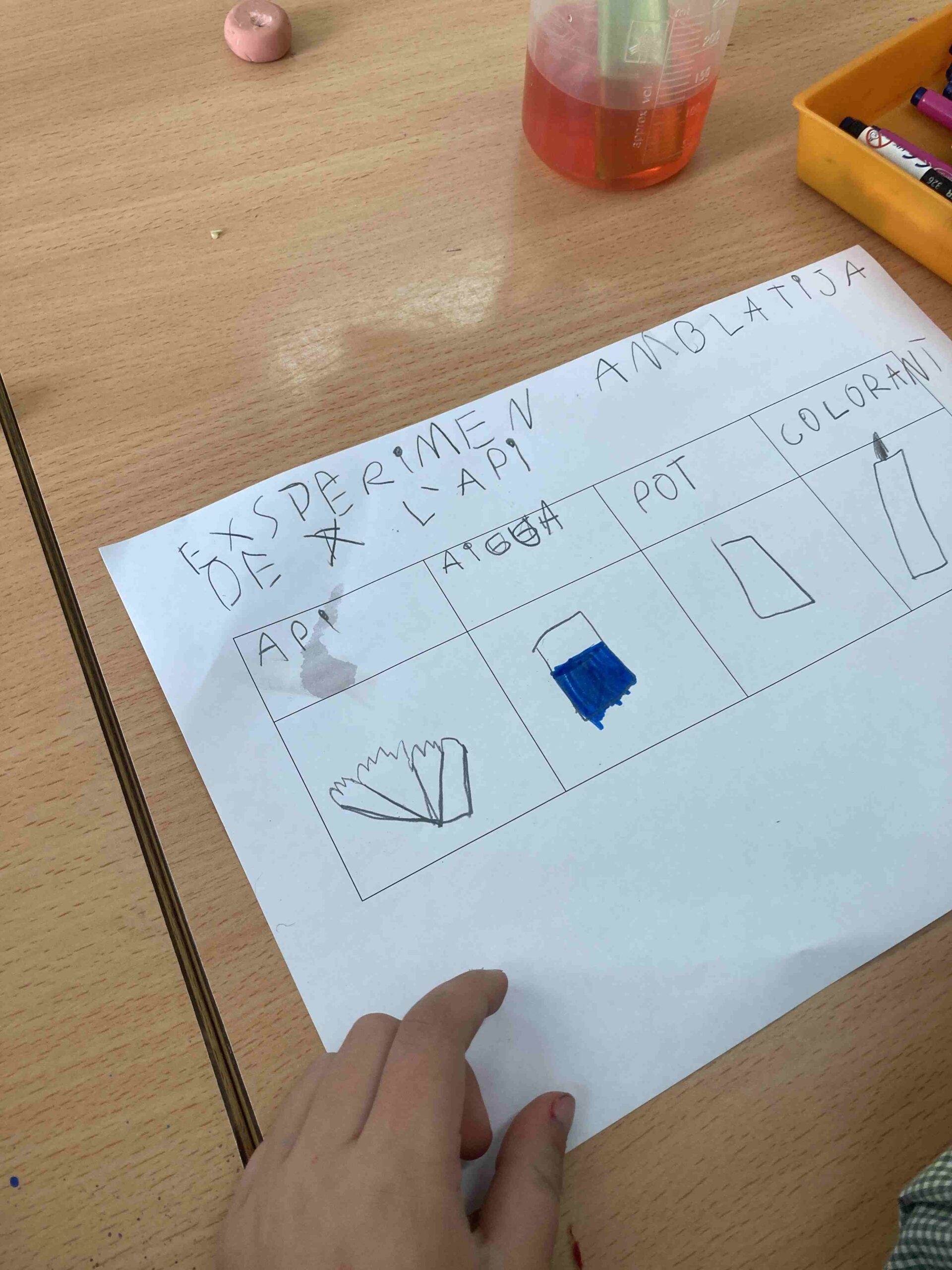 experiment plantes ci (10)