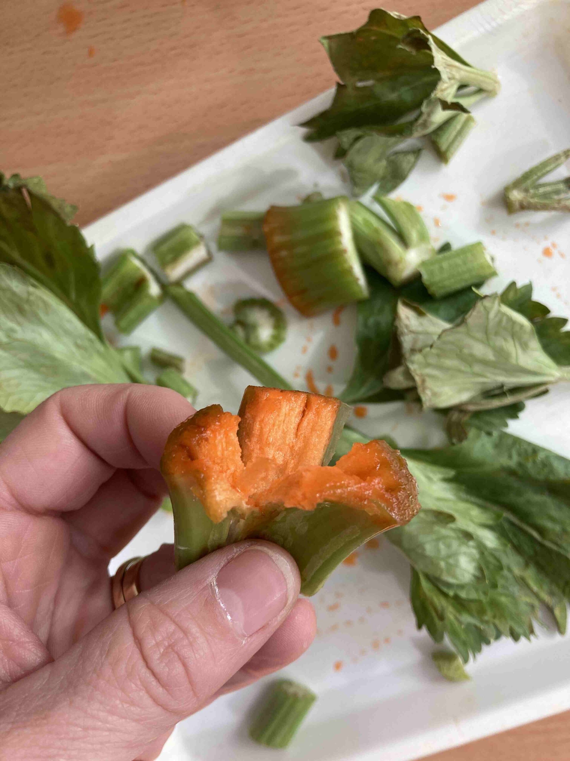 experiment plantes ci (15)