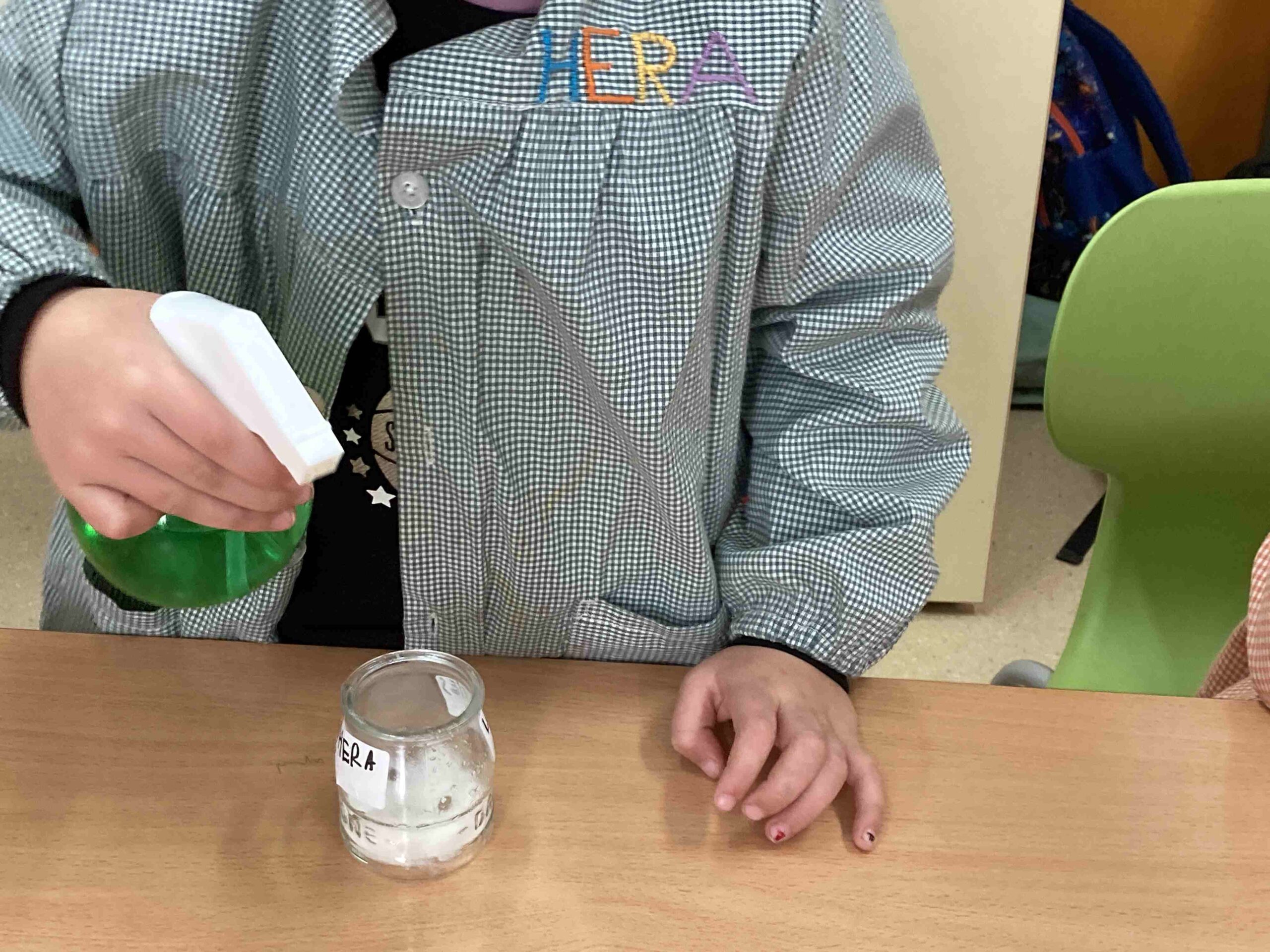 experiment plantes ci (16)