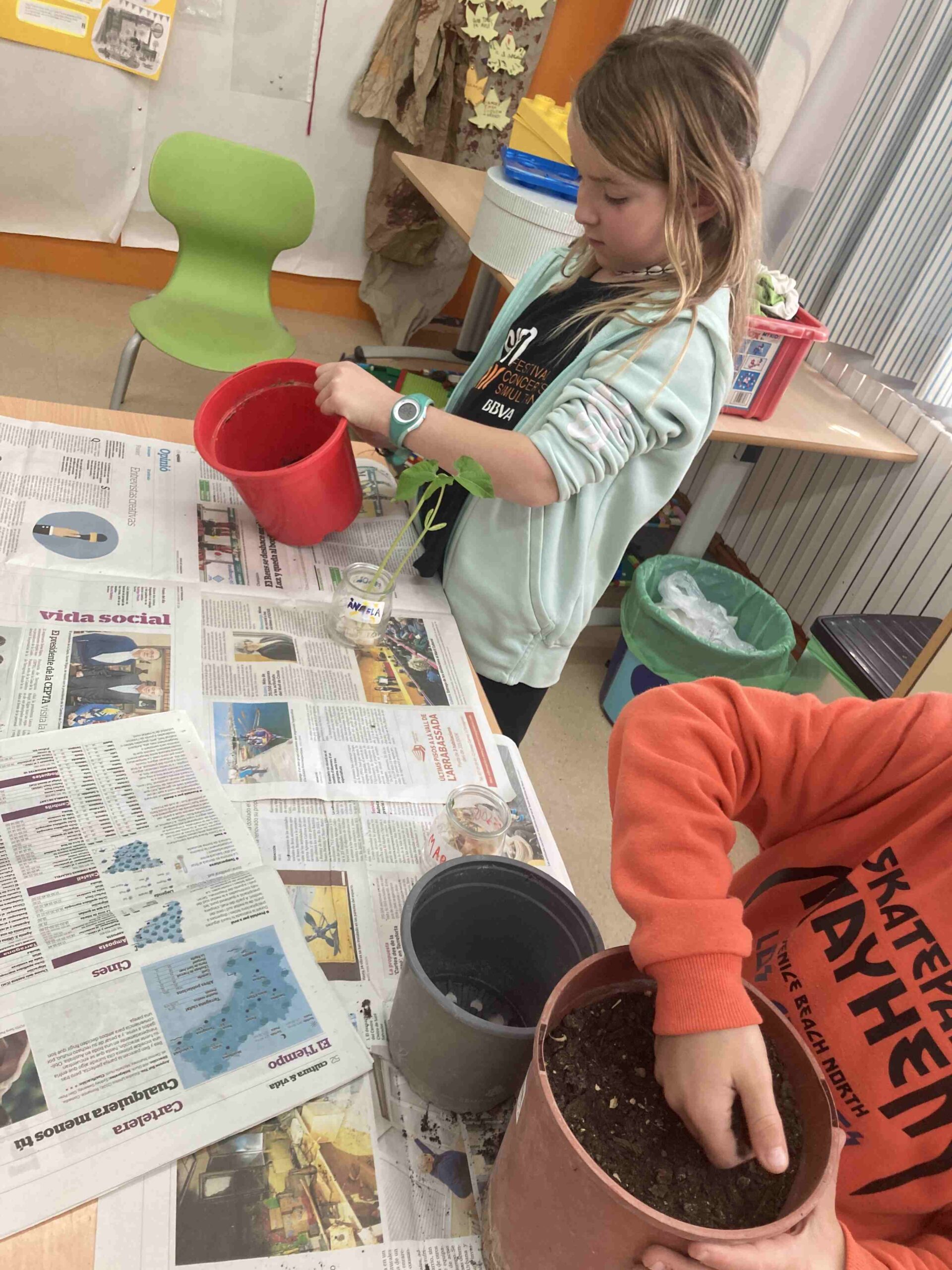 experiment plantes ci (21)