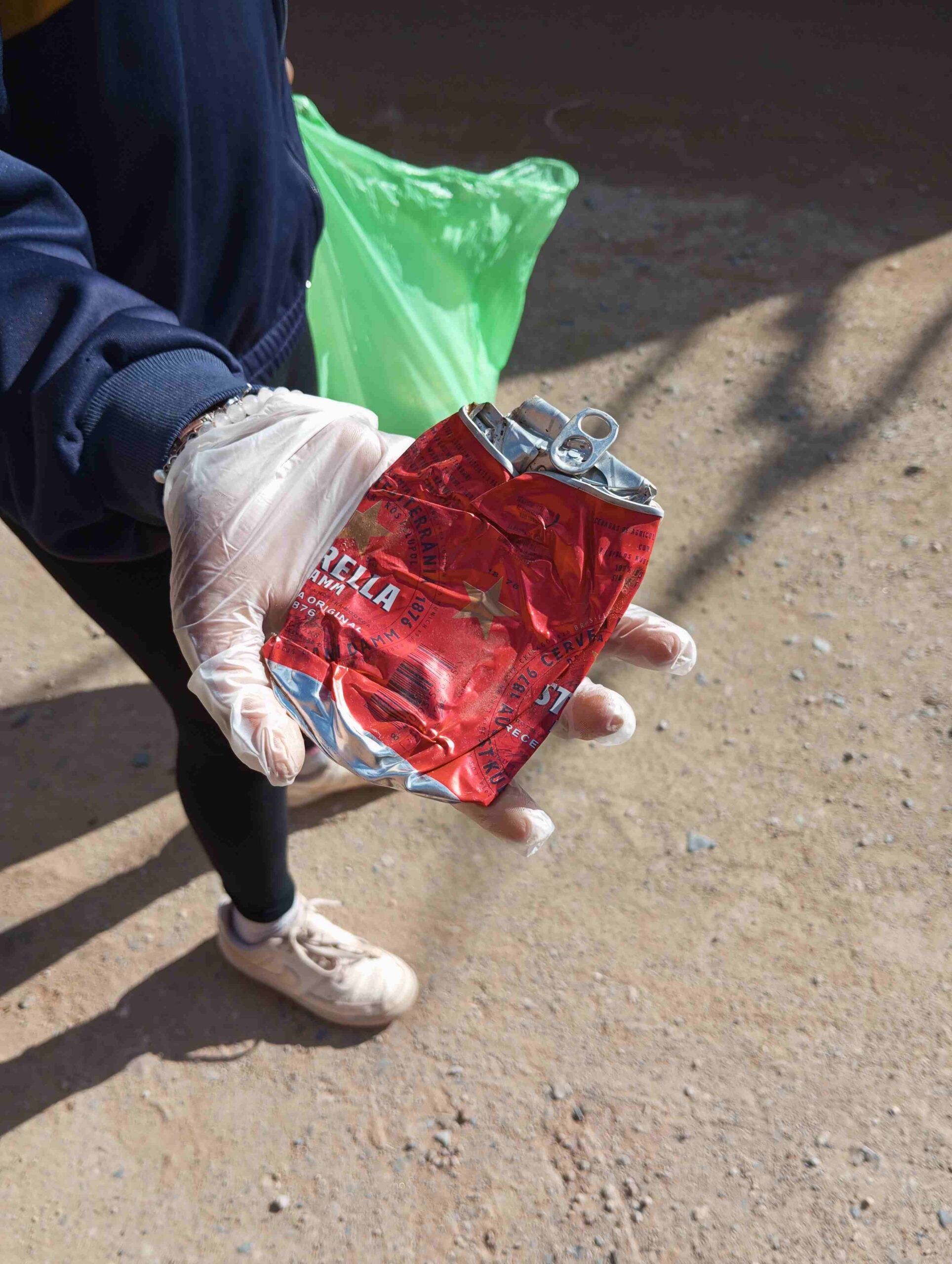 lets clean escola (20)