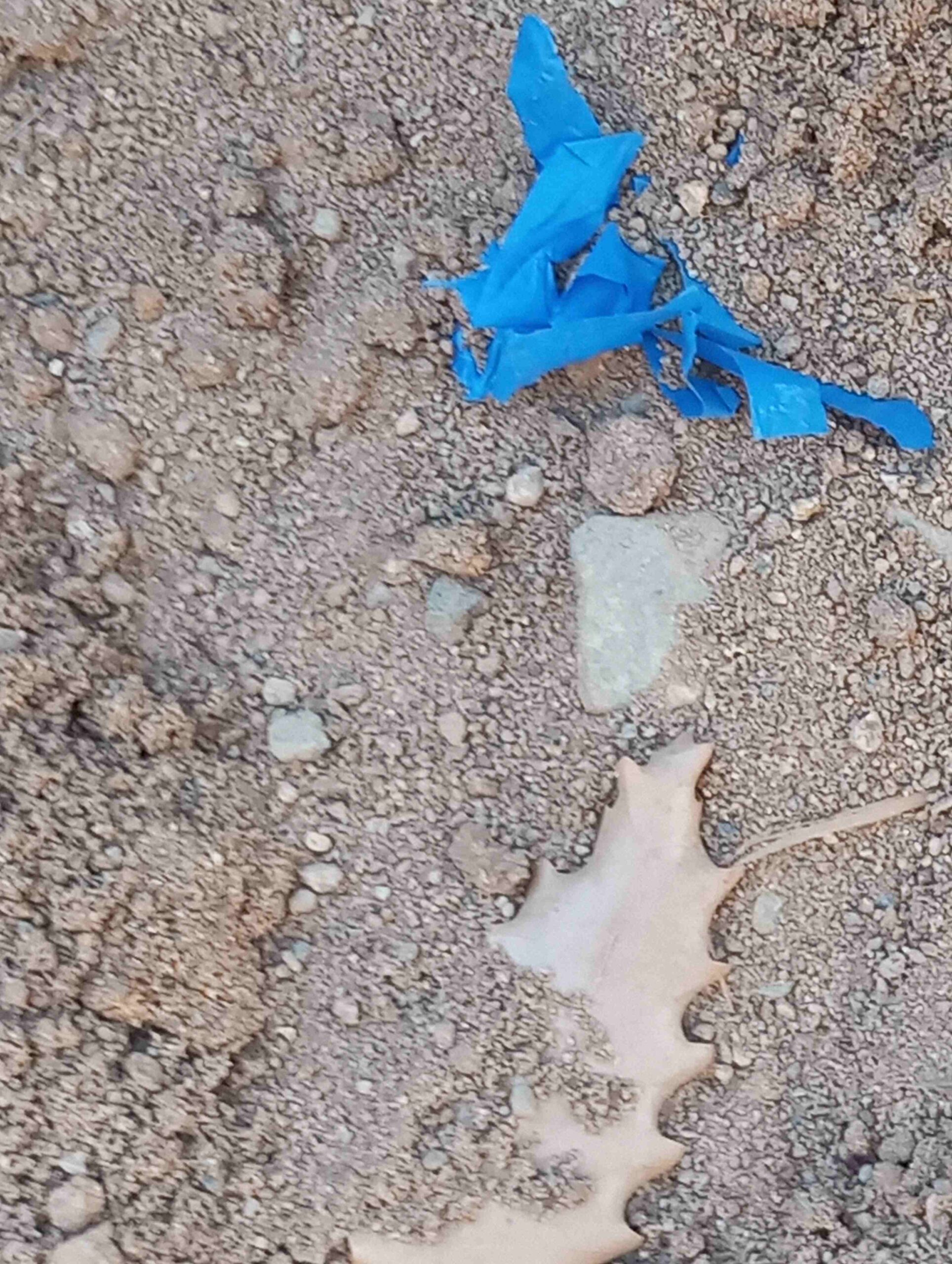 lets clean escola (25)