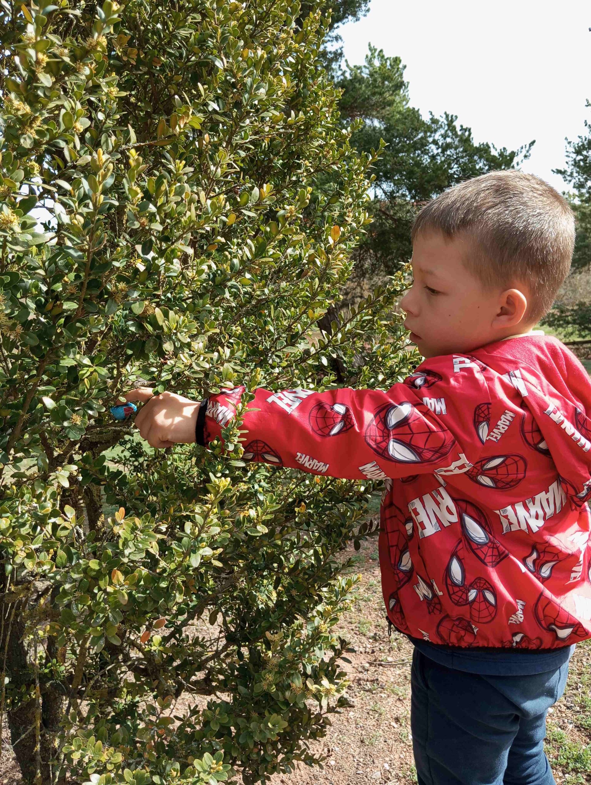 EASTER EGG HUNT (11)