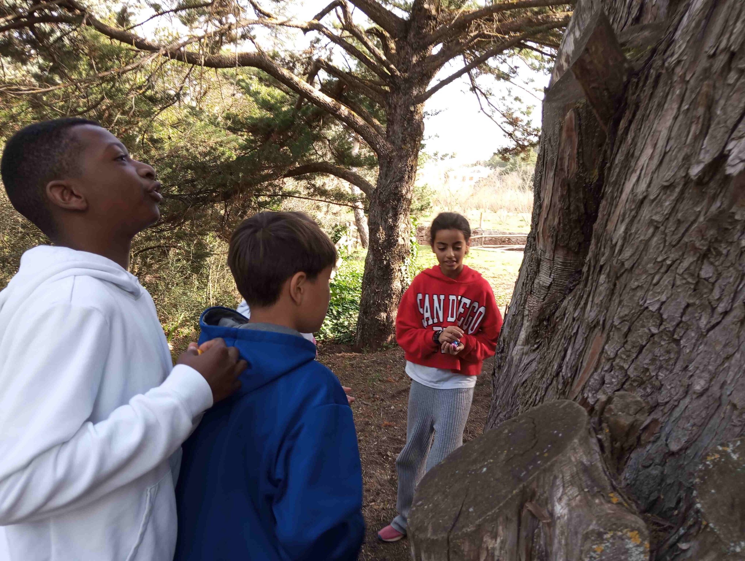 EASTER EGG HUNT (15)