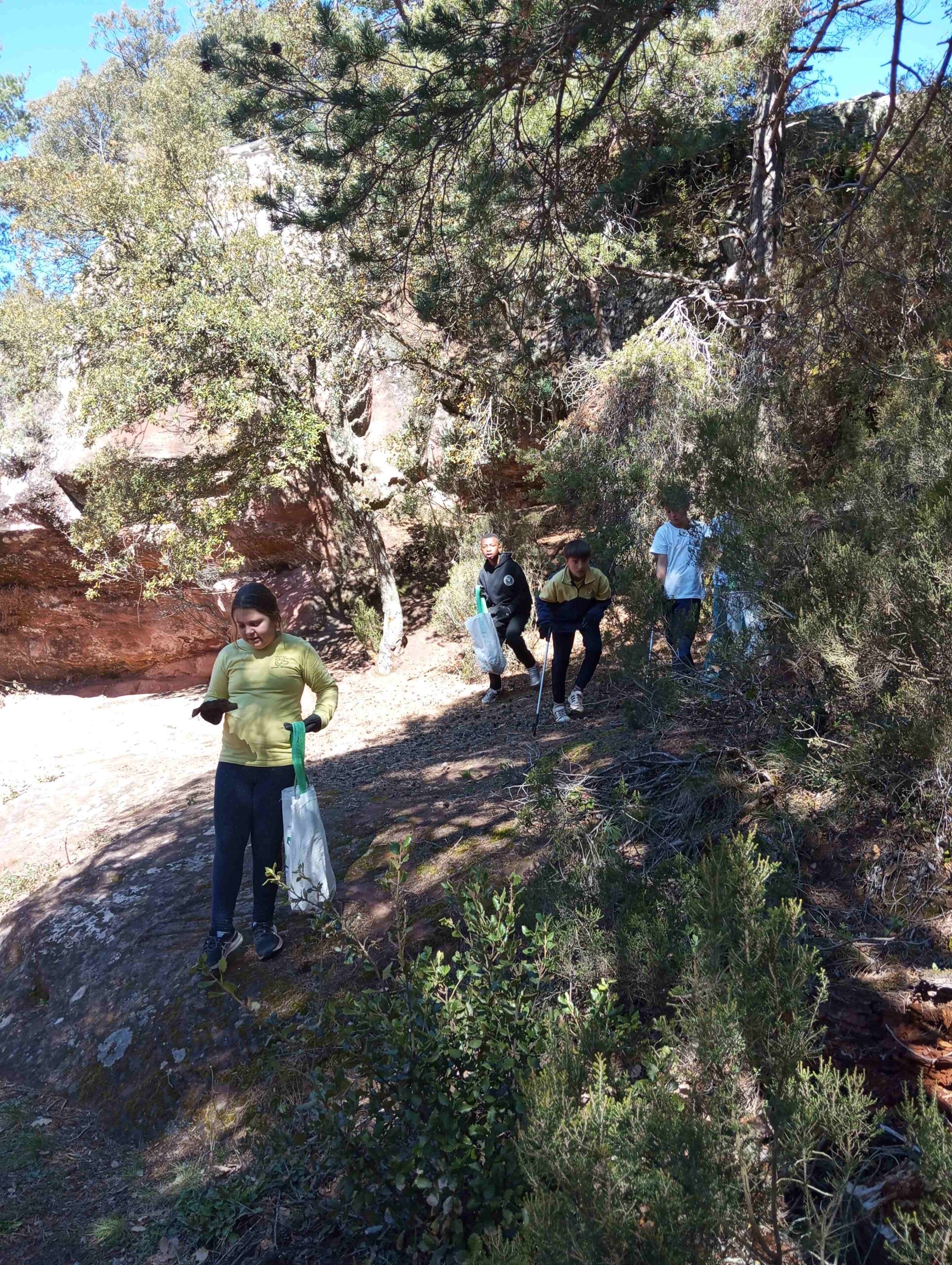 lets_clean_entorn (17)