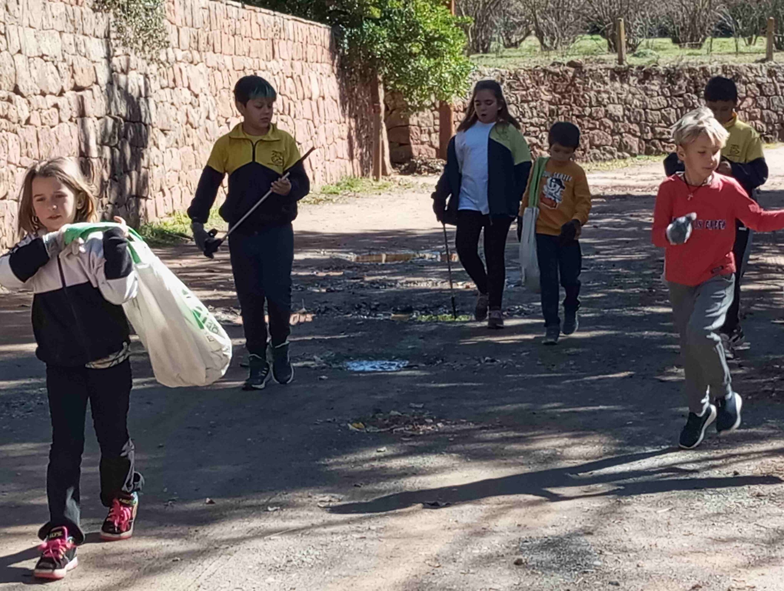 lets_clean_entorn (19)