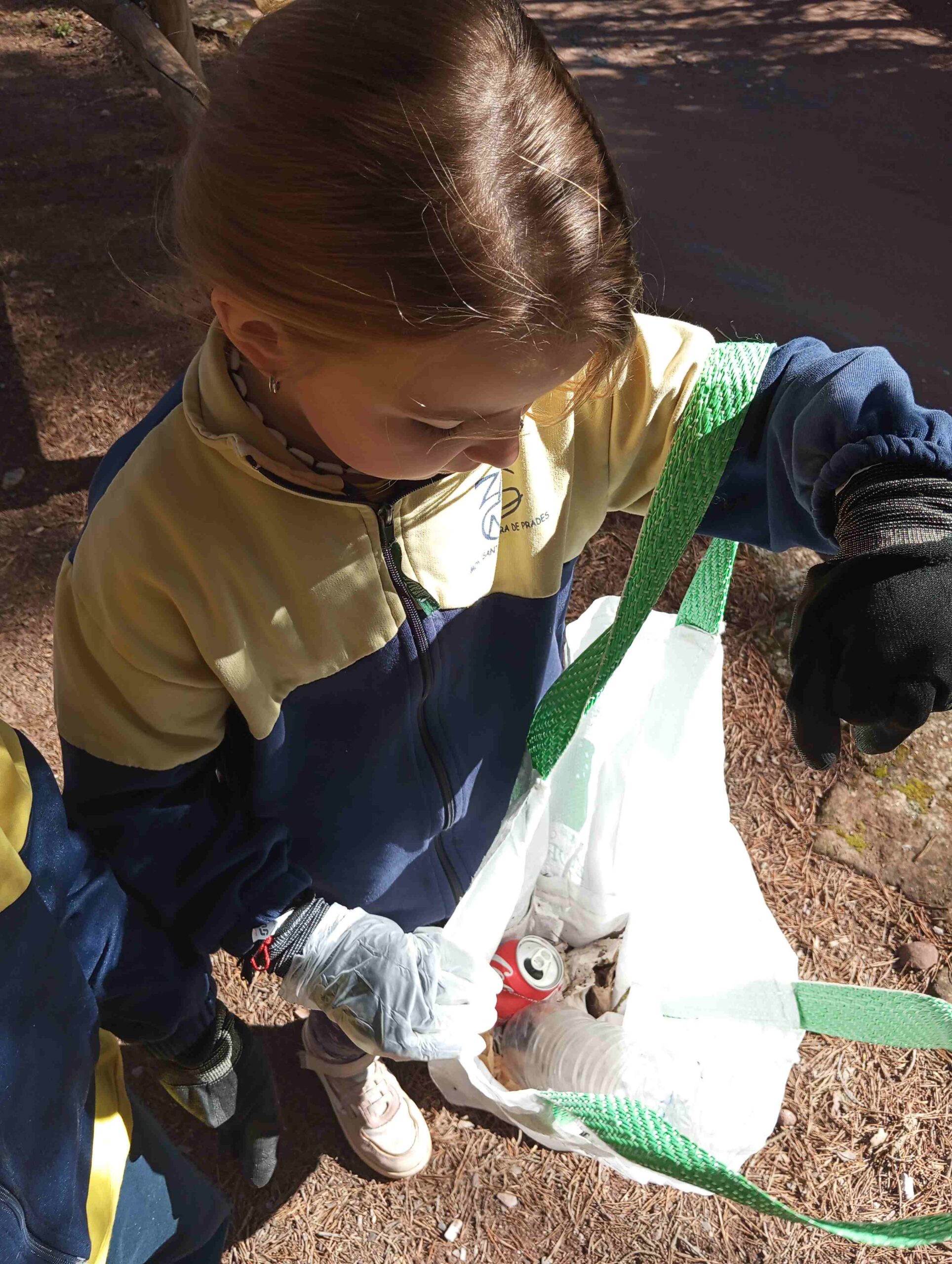 lets_clean_entorn (3)