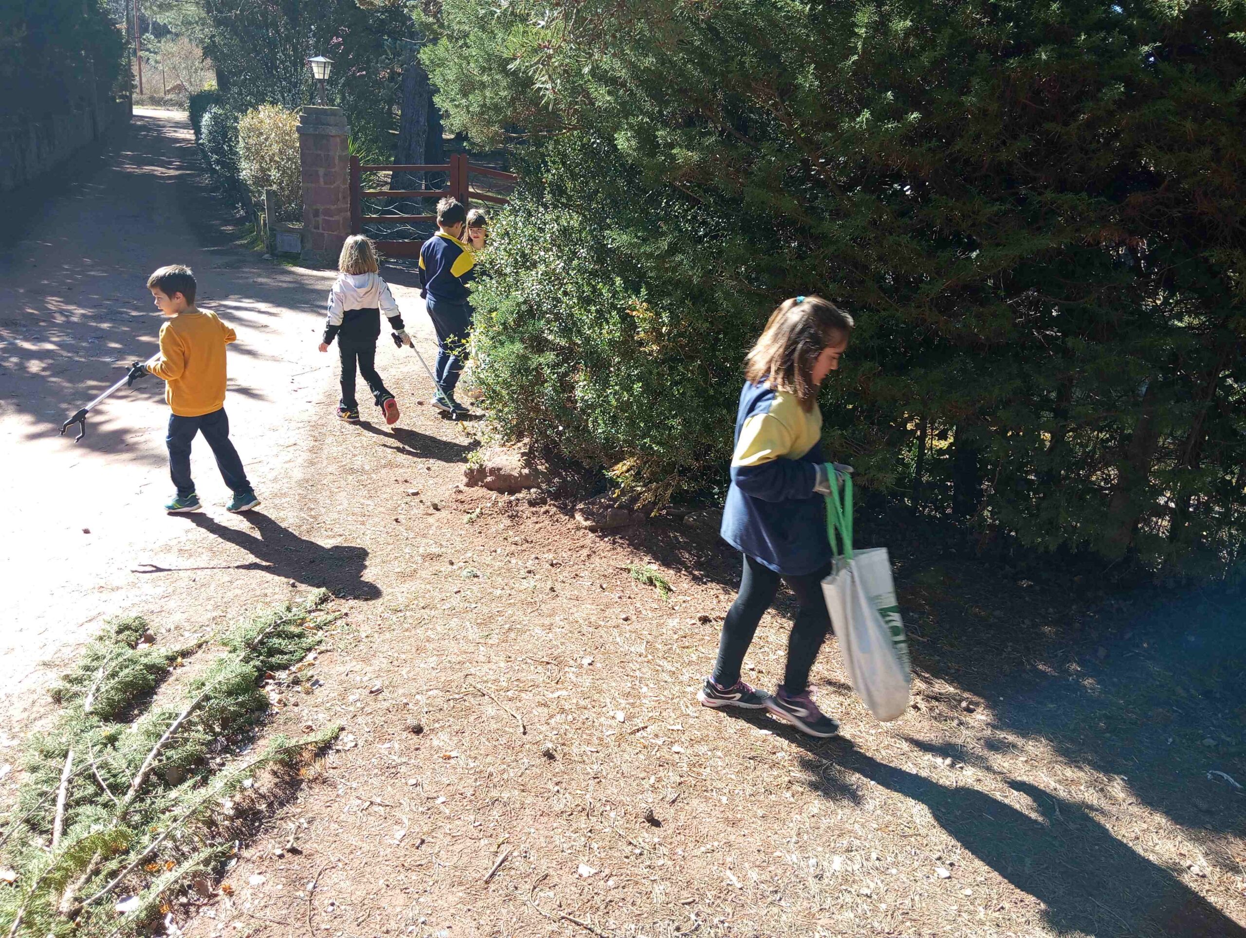 lets_clean_entorn (4)