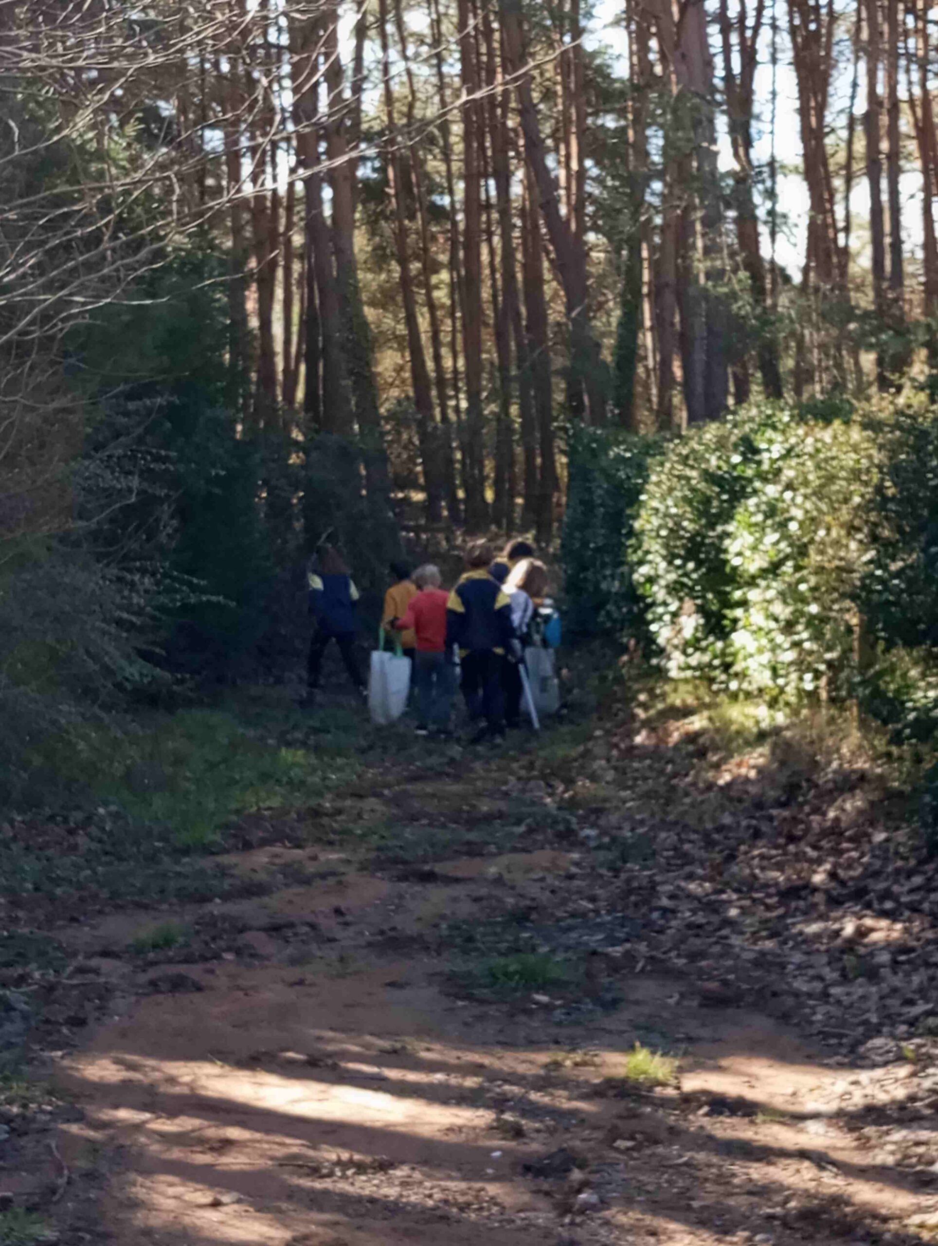 lets_clean_entorn (6)