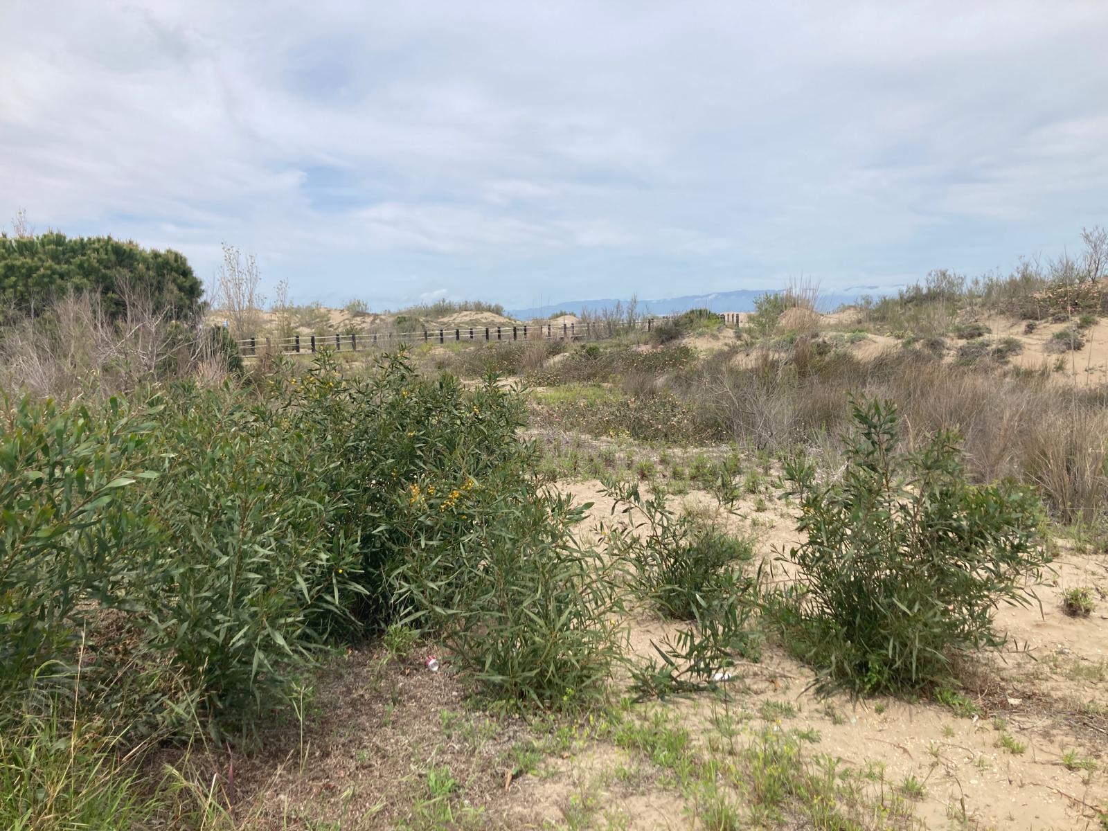 colonies_delta_2024 (15)