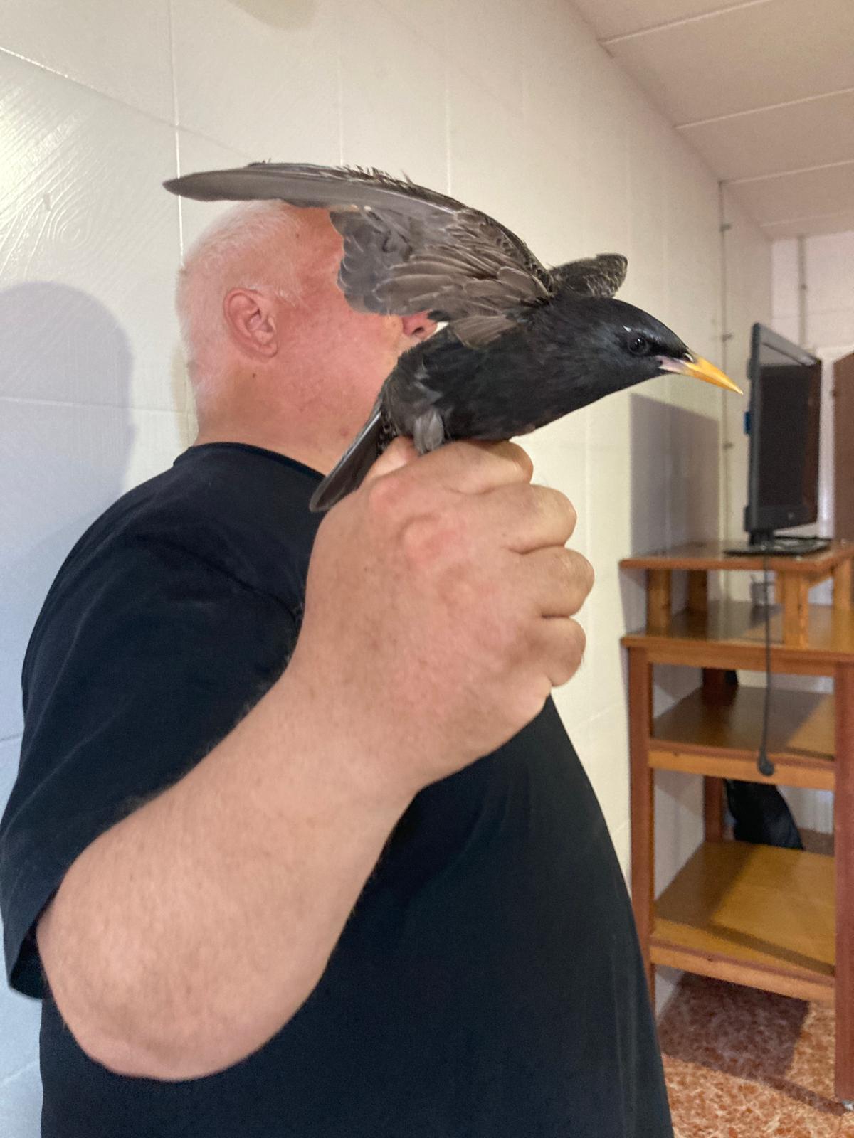 colonies_delta_2024 (18)