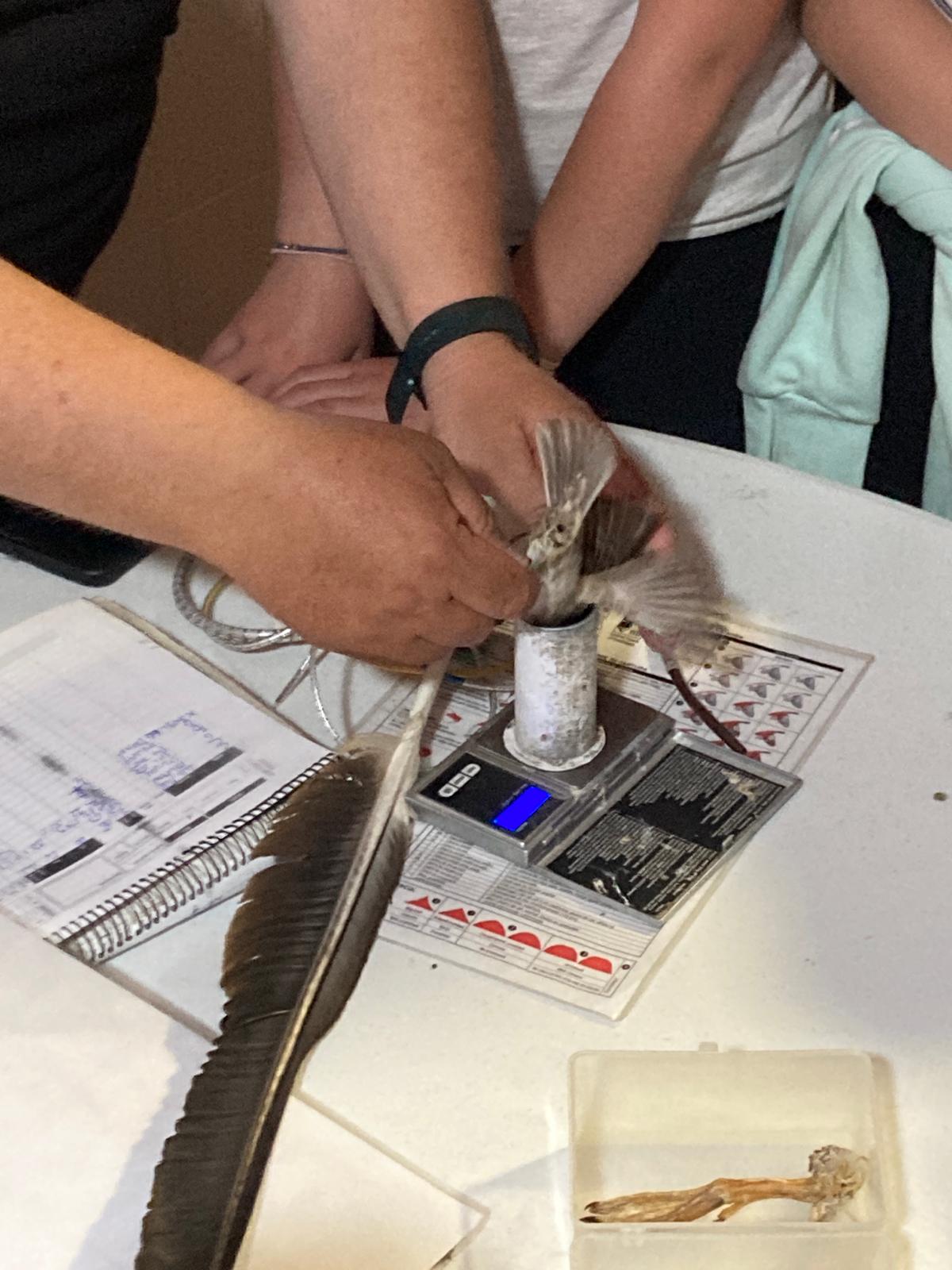 colonies_delta_2024 (21)