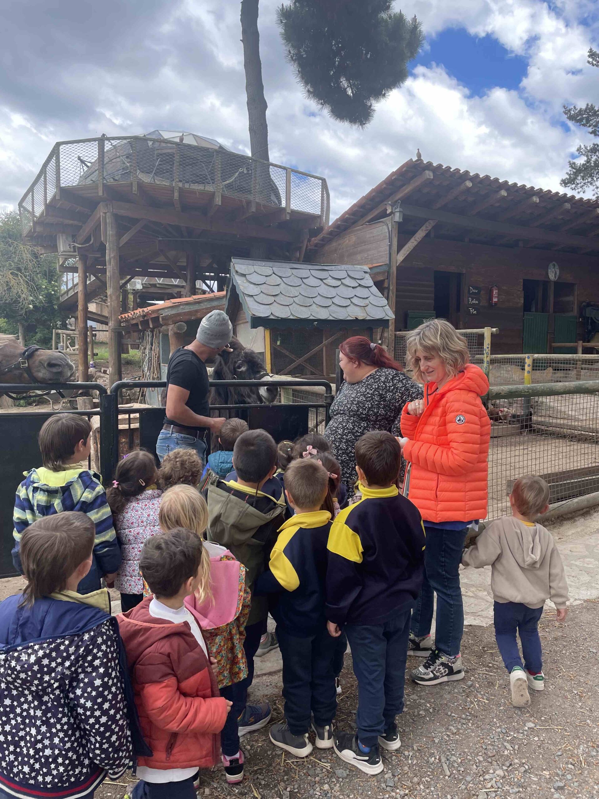 OFICI PARES LAIA CASETES FUSTA (11)