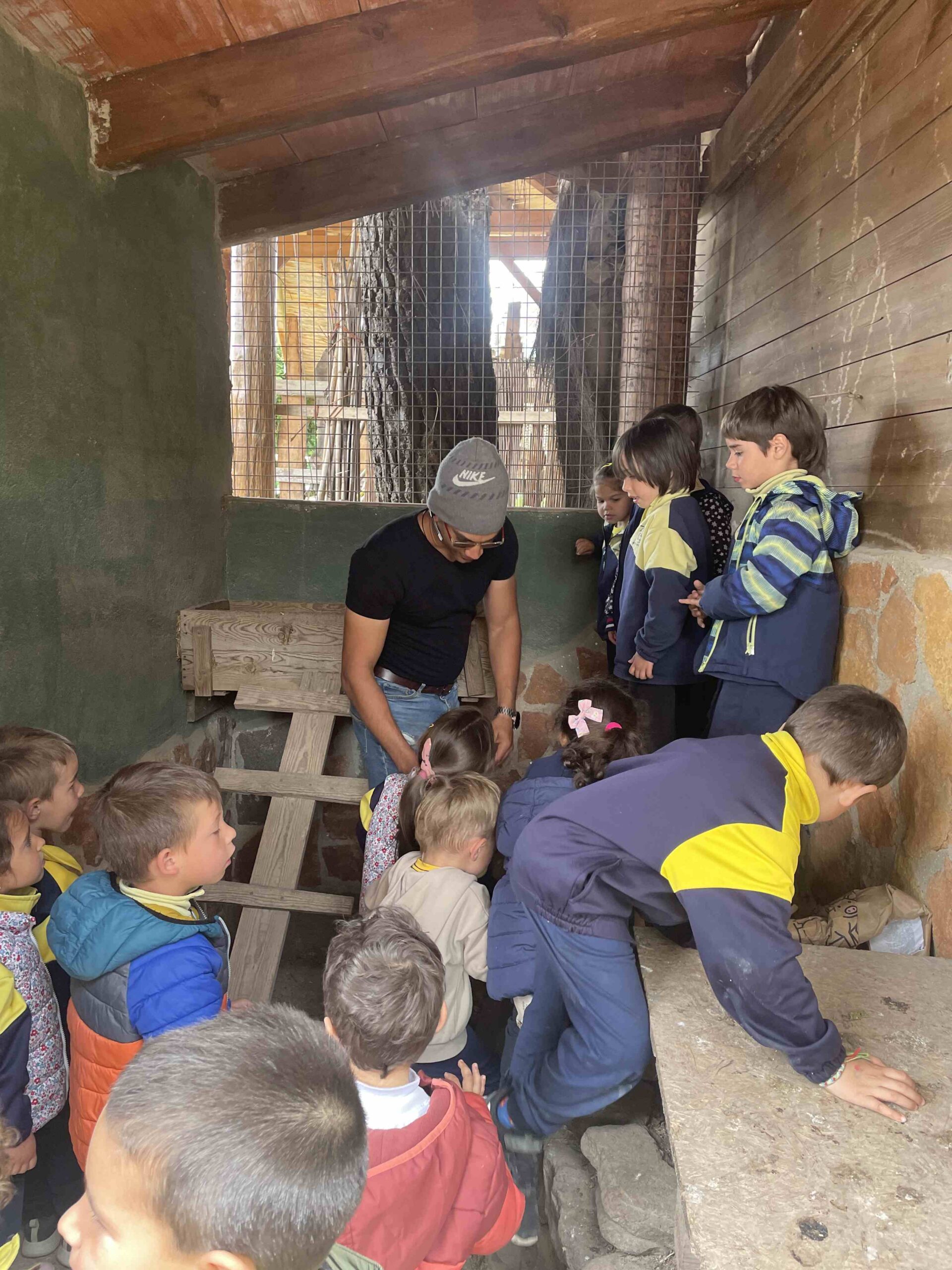 OFICI PARES LAIA CASETES FUSTA (17)