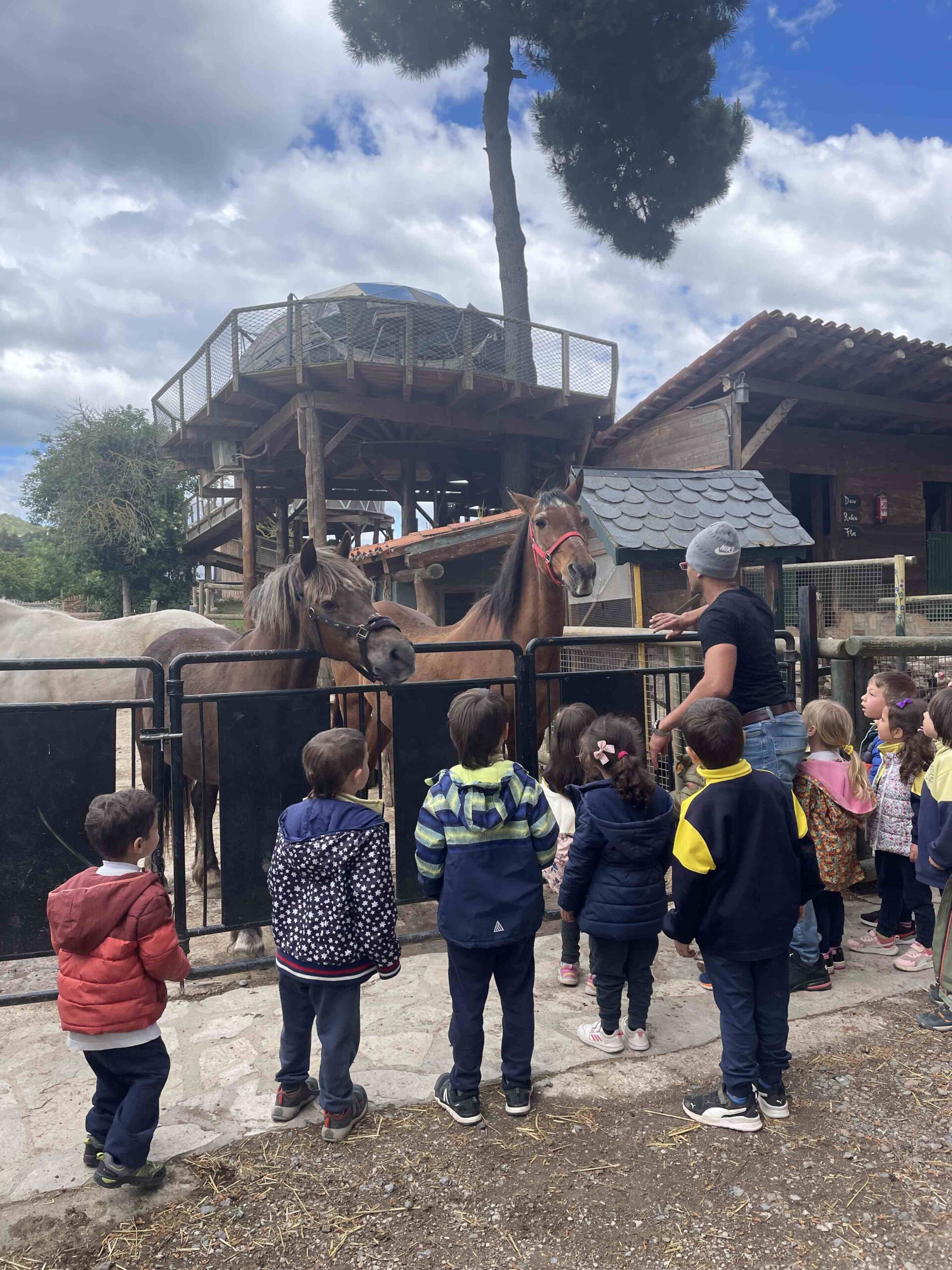 OFICI PARES LAIA CASETES FUSTA (19)