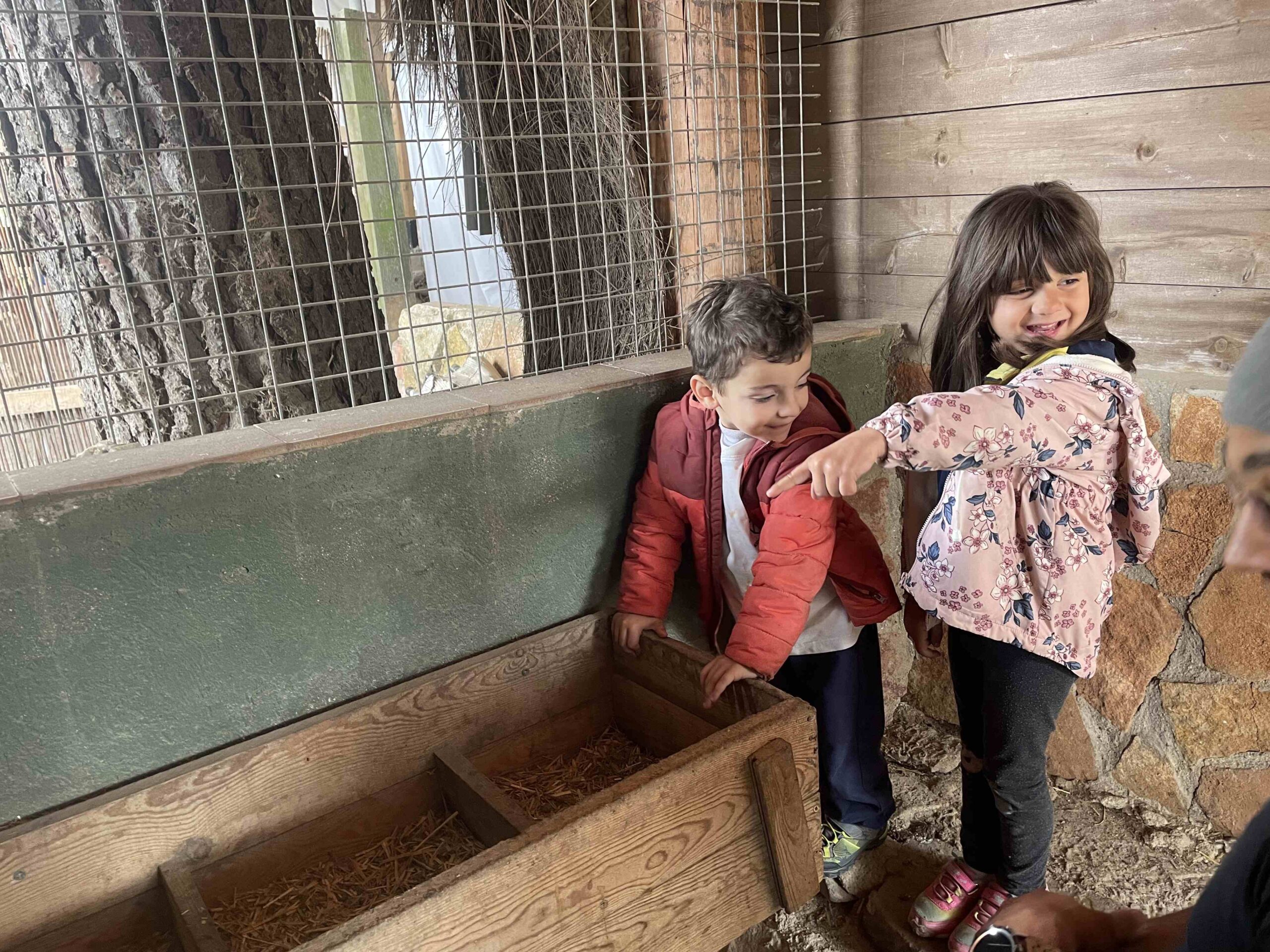 OFICI PARES LAIA CASETES FUSTA (3)