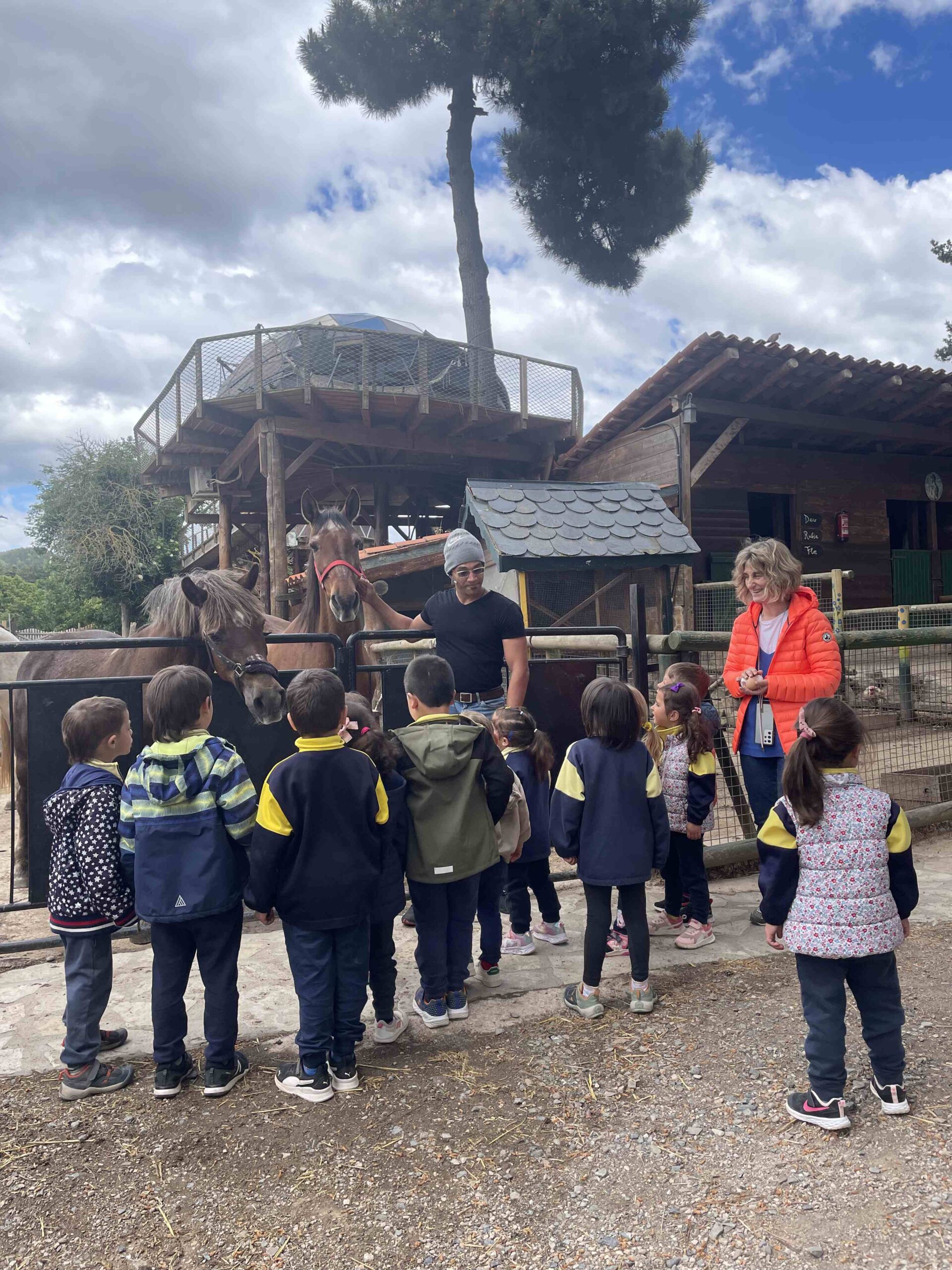 OFICI PARES LAIA CASETES FUSTA (32)