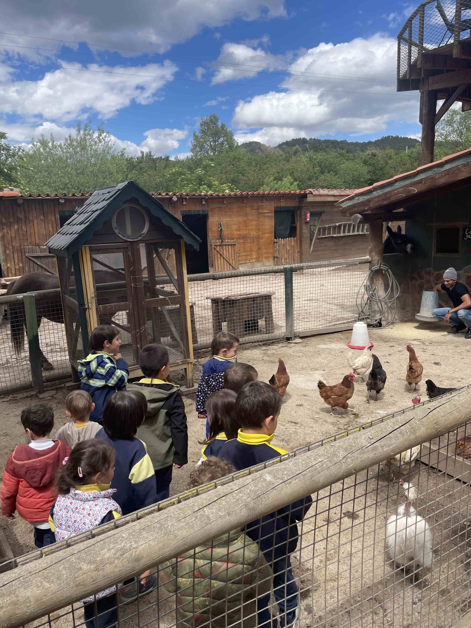 OFICI PARES LAIA CASETES FUSTA (33)