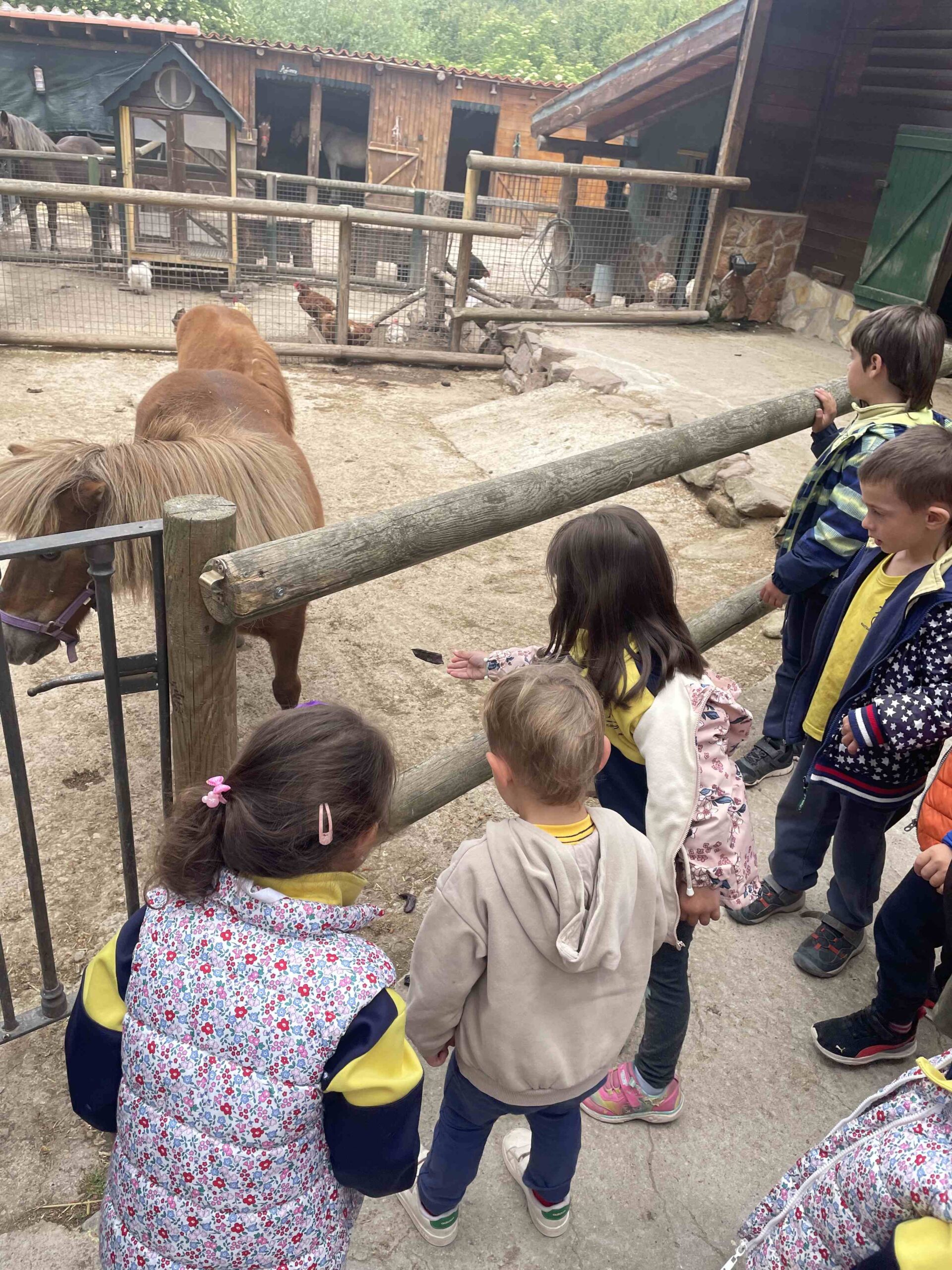 OFICI PARES LAIA CASETES FUSTA (35)