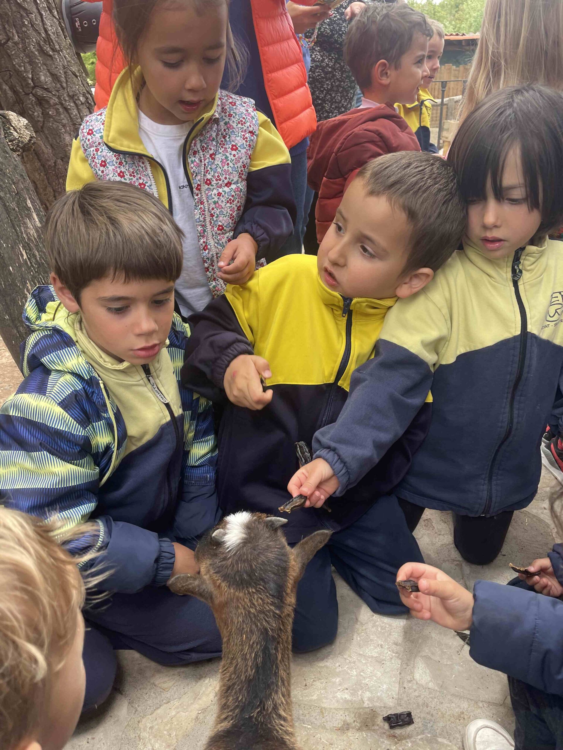 OFICI PARES LAIA CASETES FUSTA (36)