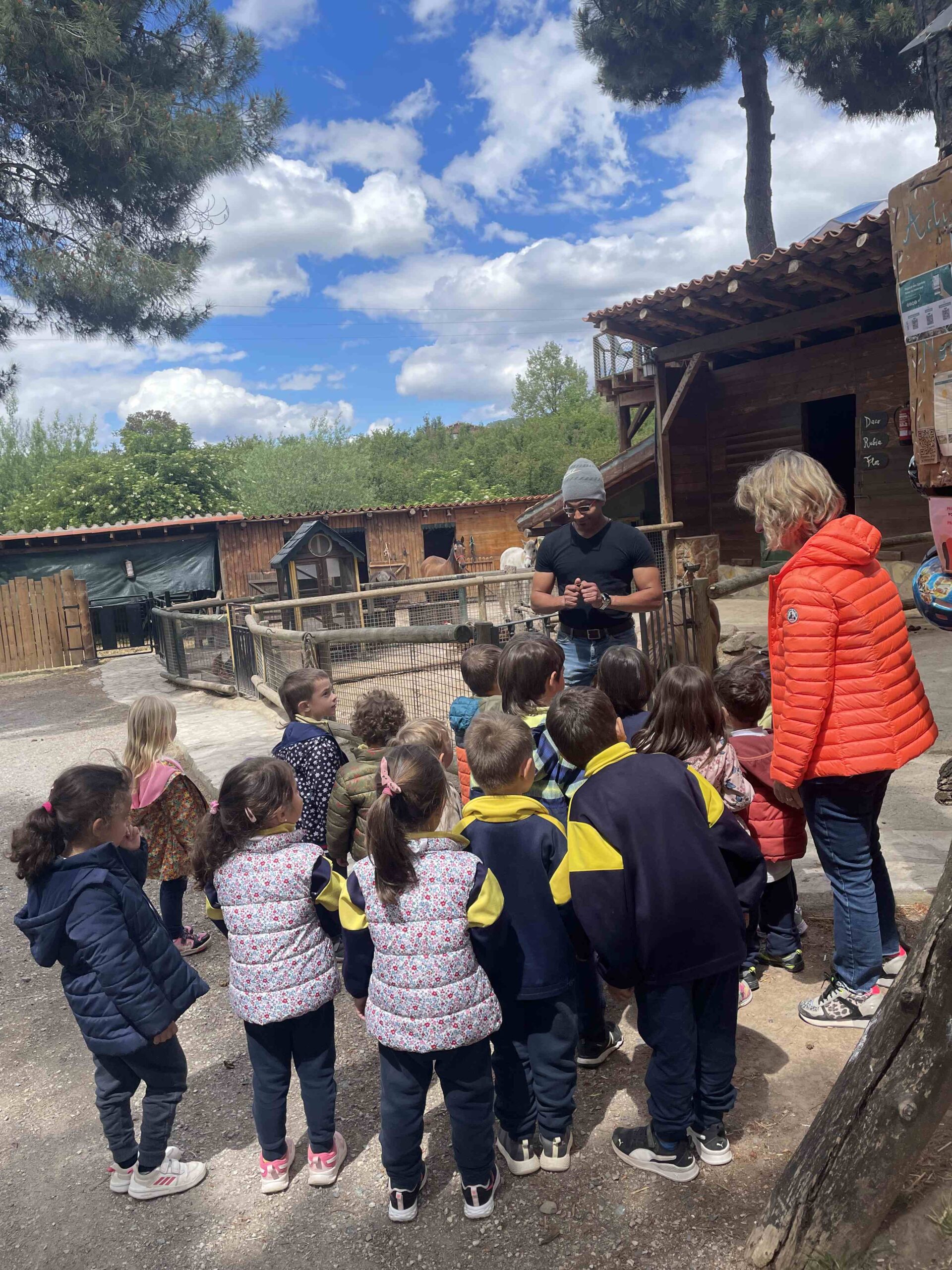 OFICI PARES LAIA CASETES FUSTA (6)