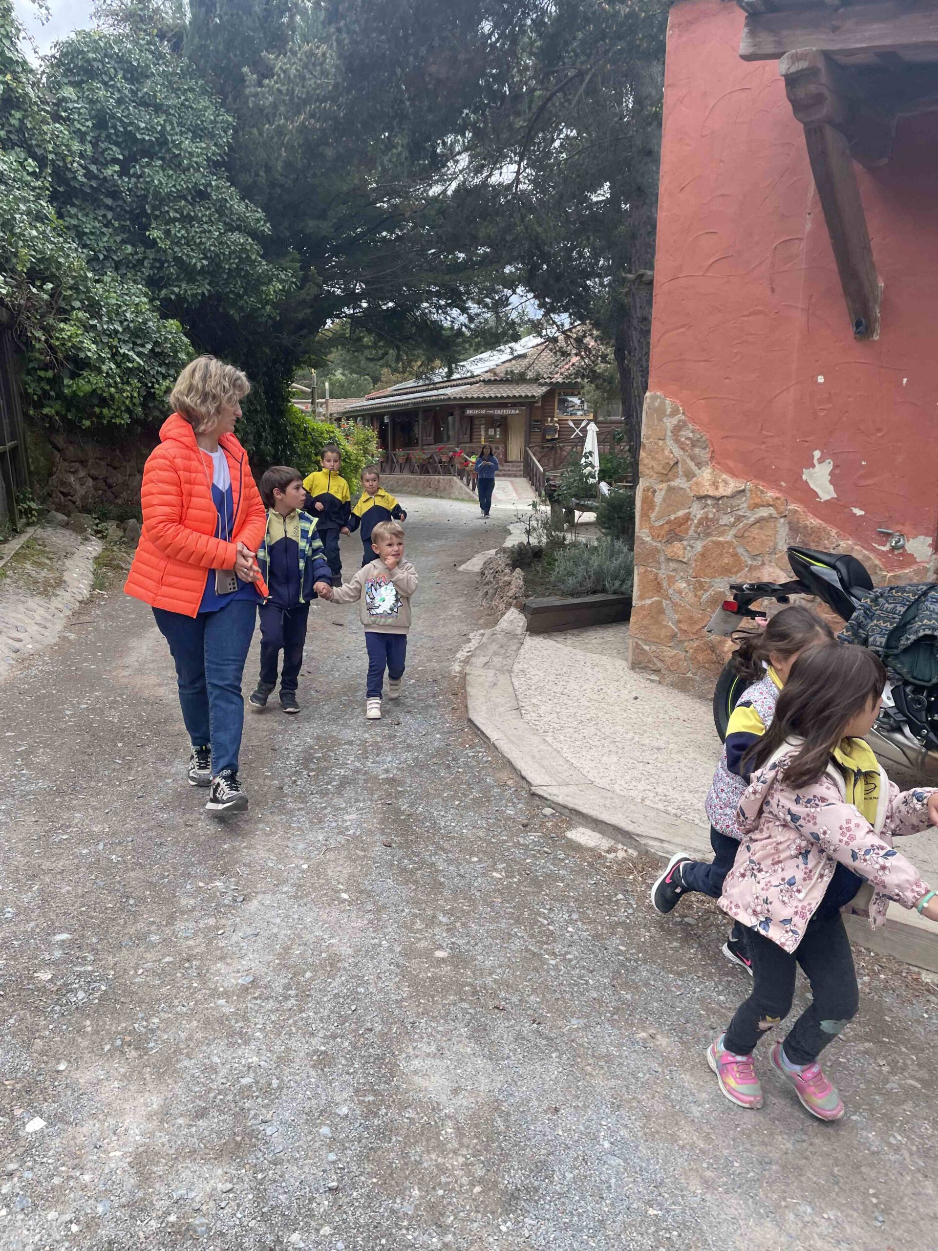 OFICI PARES LAIA CASETES FUSTA (7)