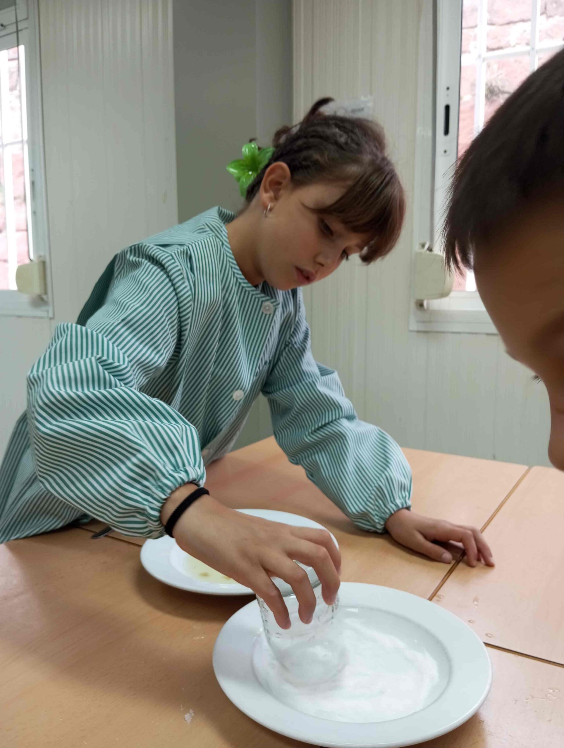 BATUT FRUITS BOSC (13) (Copy)