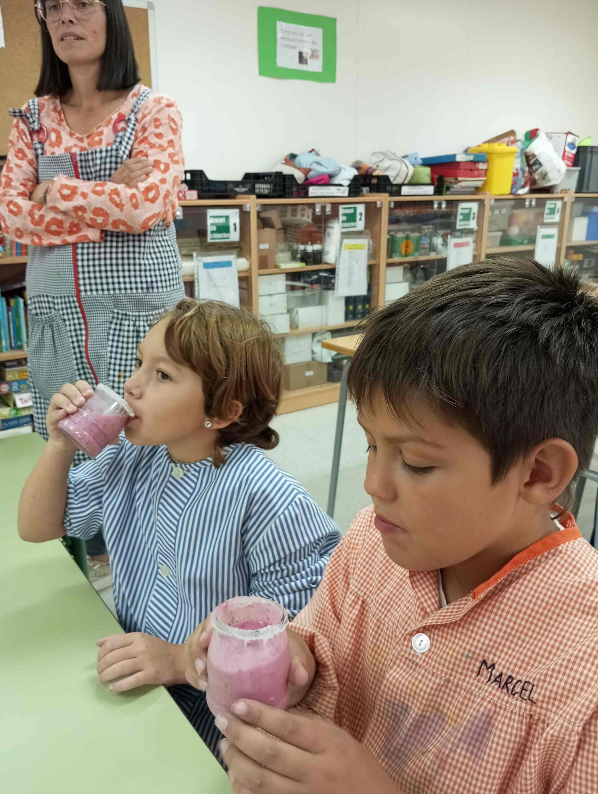 BATUT FRUITS BOSC (18) (Copy)