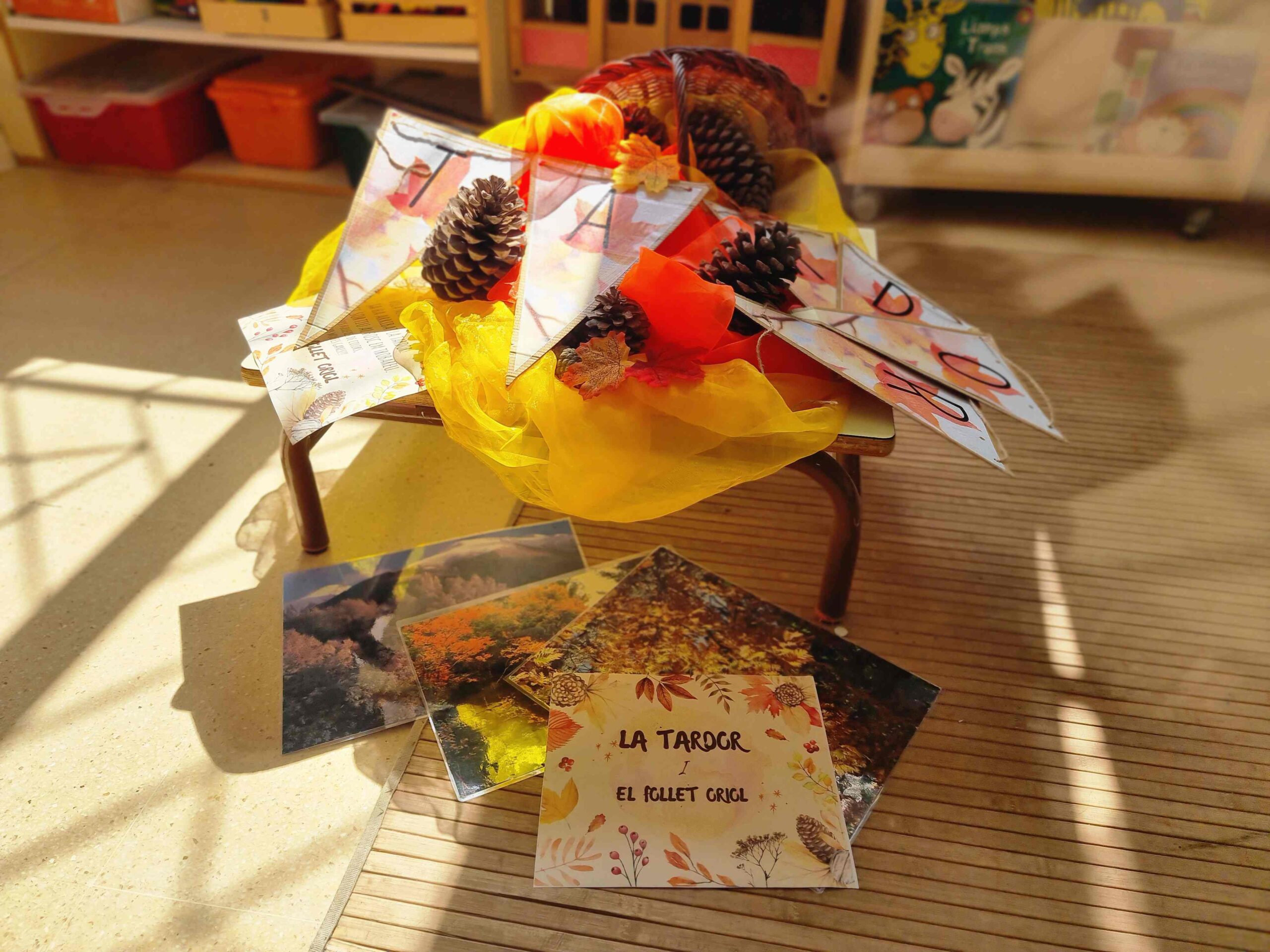 FOLLET ORIOL (11) (Copy)