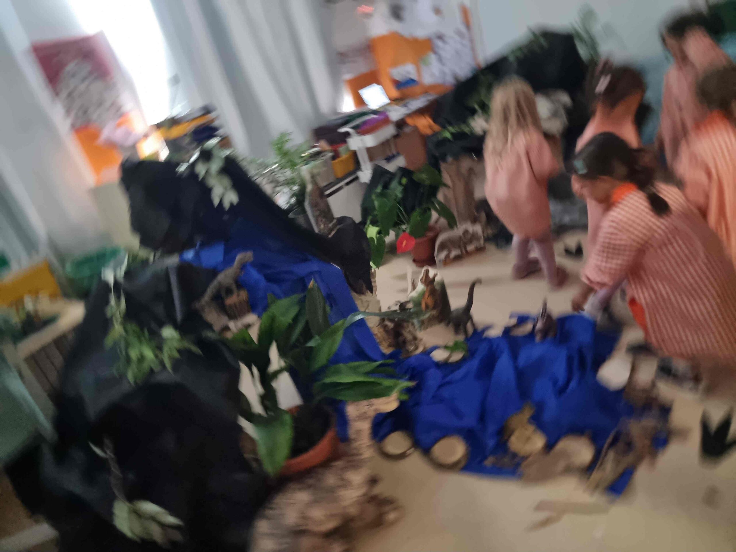 INICI PROJECTE MAMUTS DINOSAURES (19) (Copy)