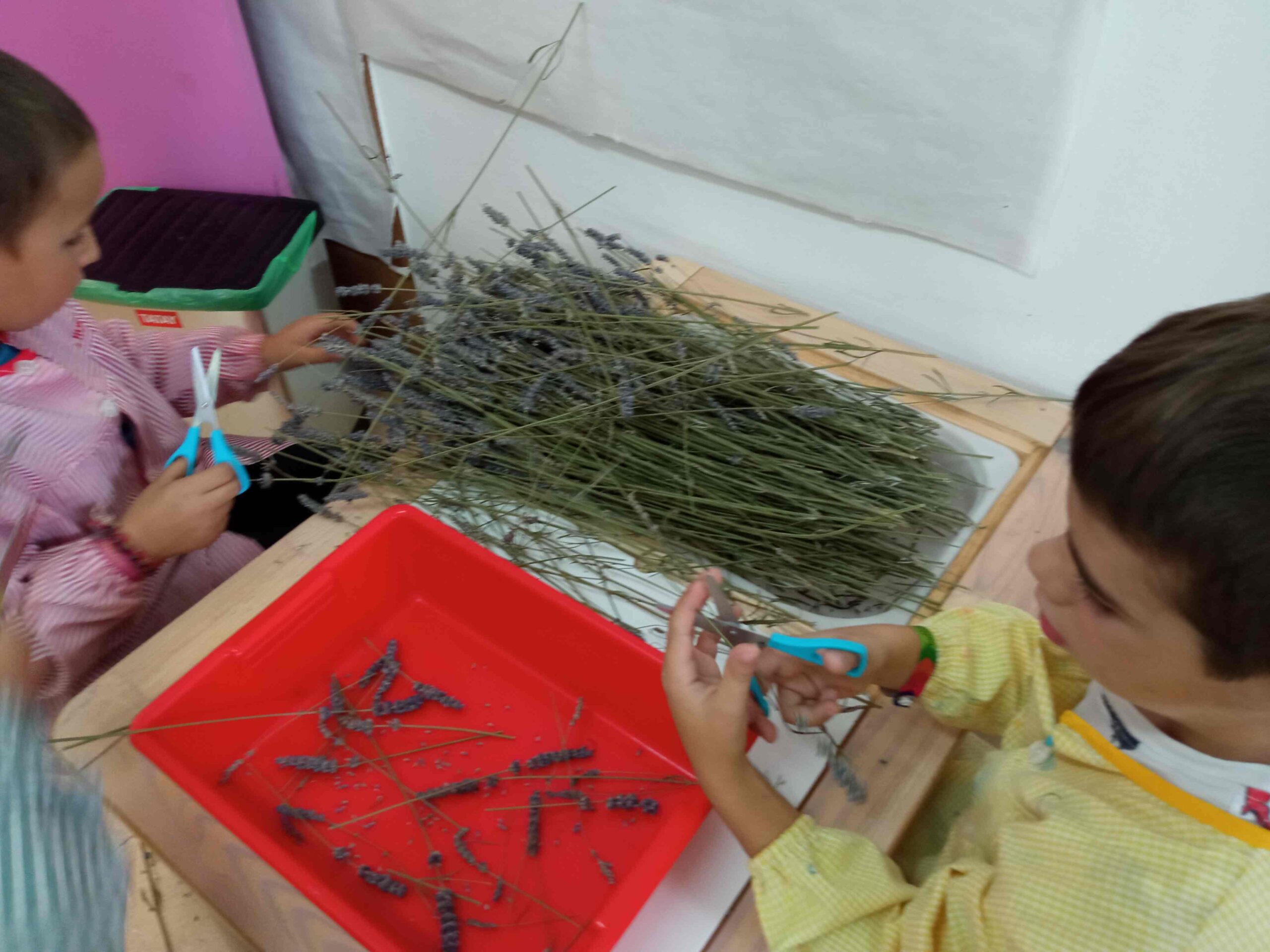 PAPER RECICLAT (33) (Copy)