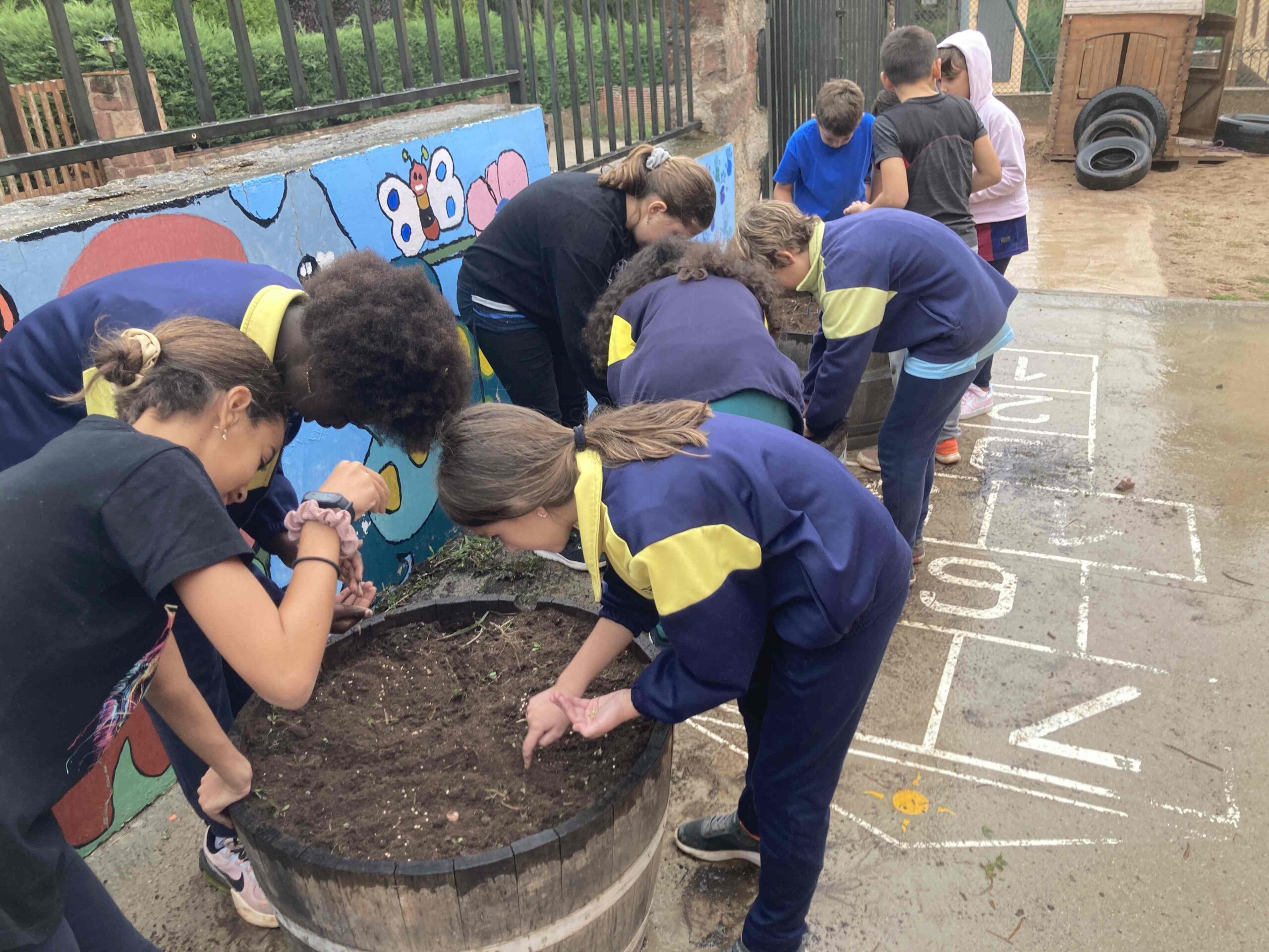 SEMRPEM ESPINACS (4) (Copy)