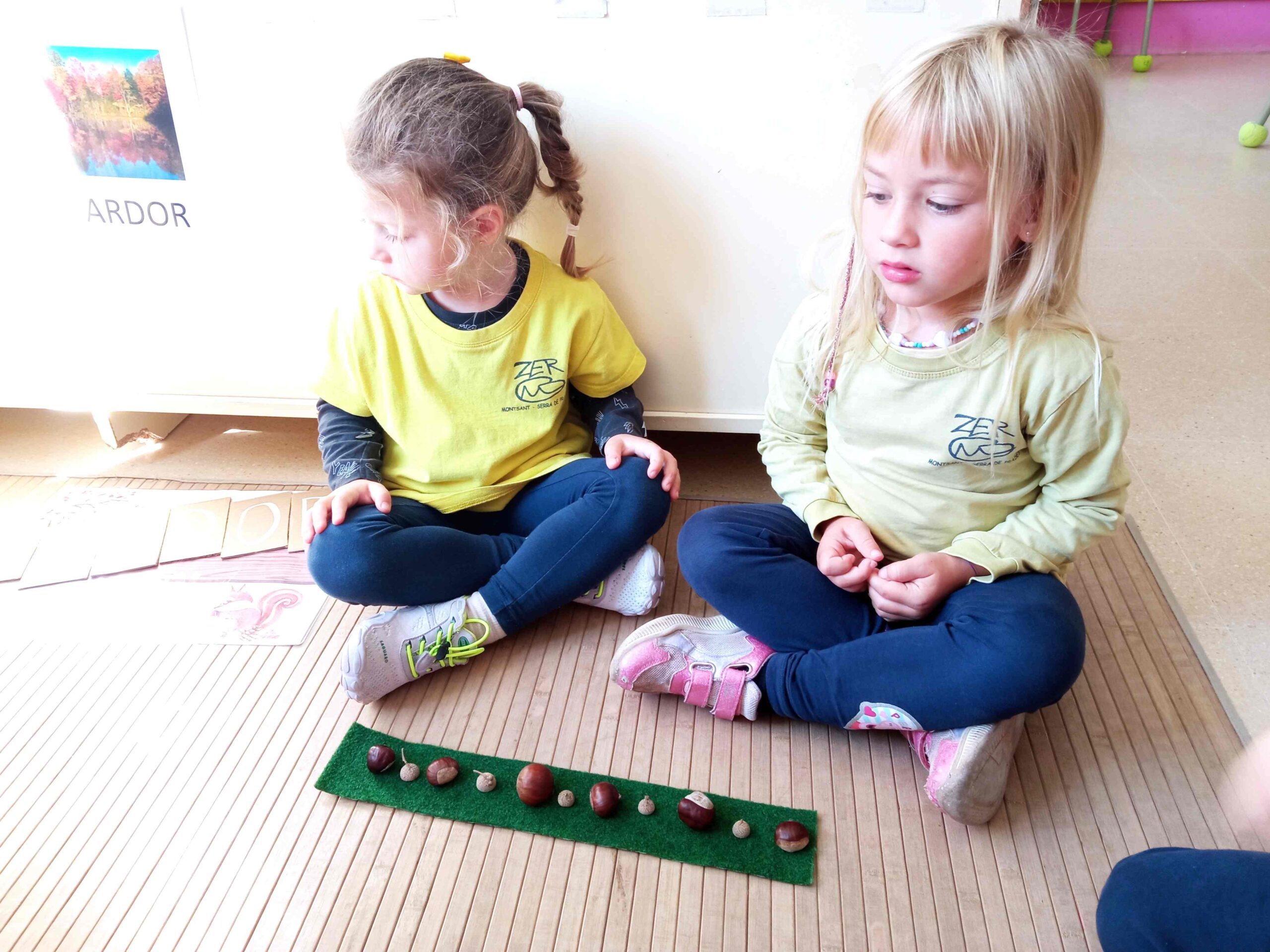 racons ei (10) (Copy)