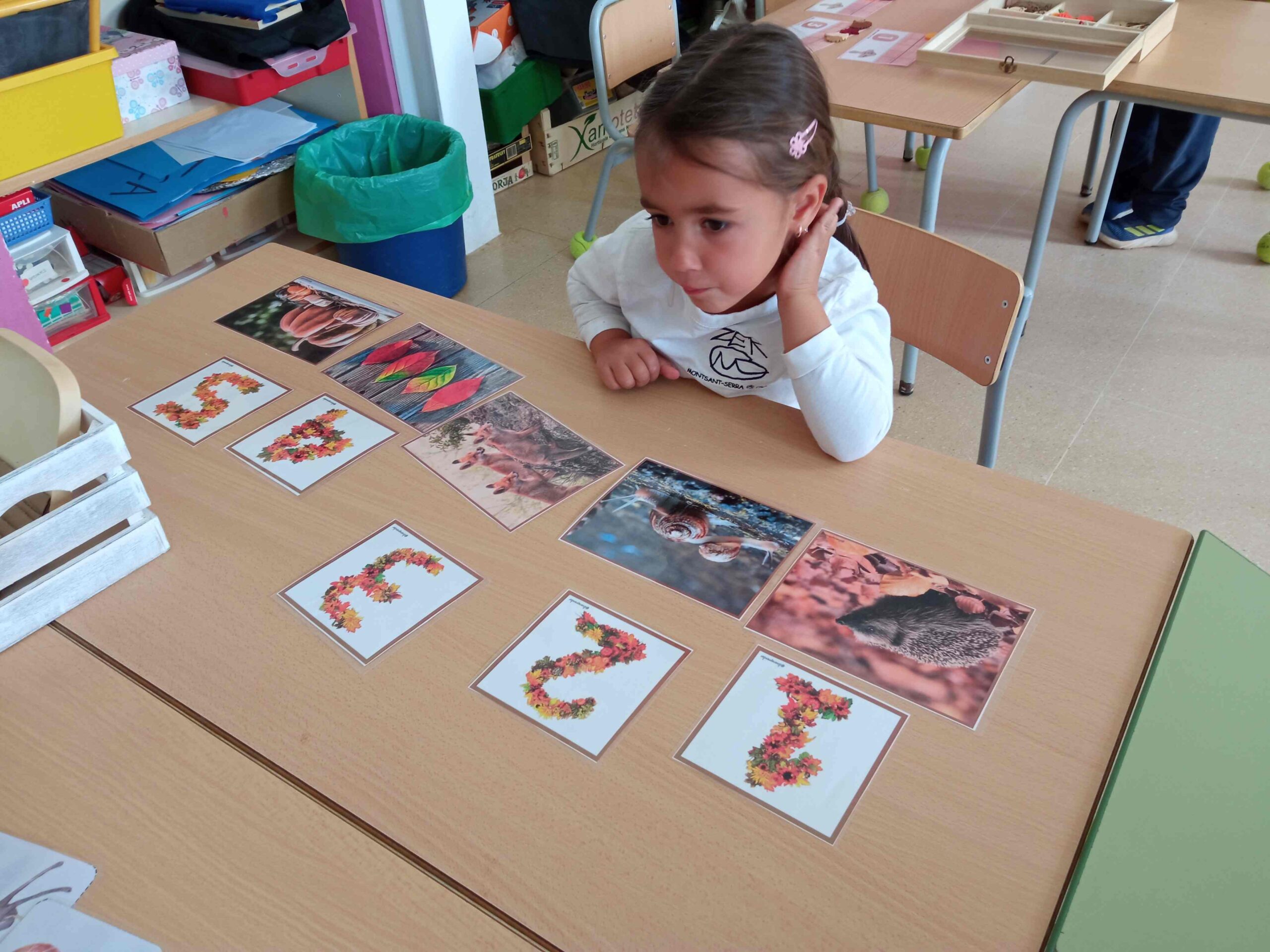 racons ei (2) (Copy)