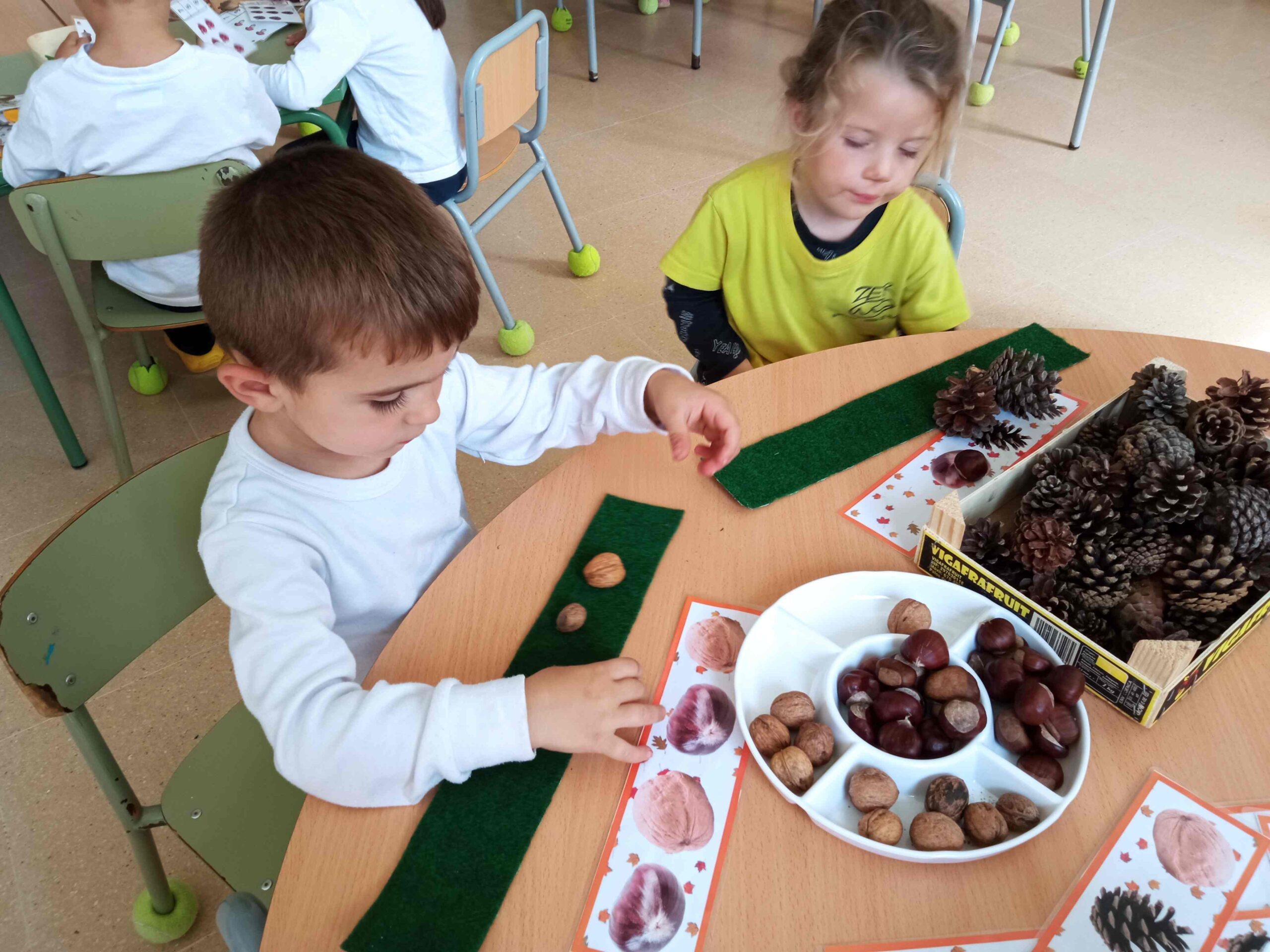 racons ei (4) (Copy)