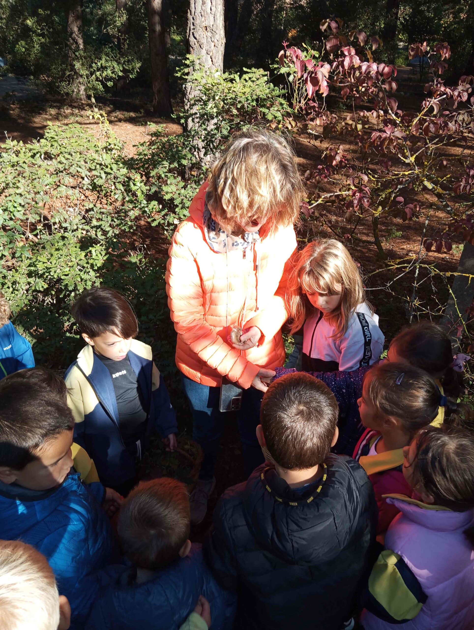 FULLES TARDOR CI EI (1) (Copy)