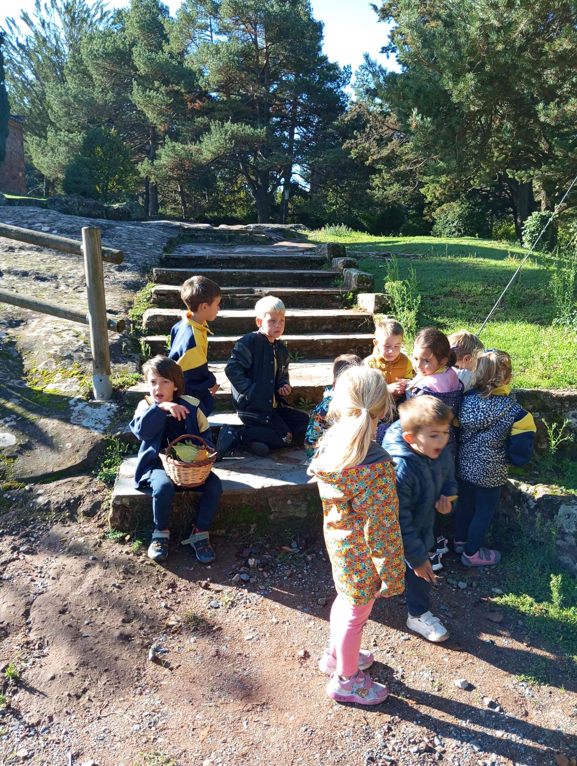 FULLES TARDOR CI EI (3) (Copy)