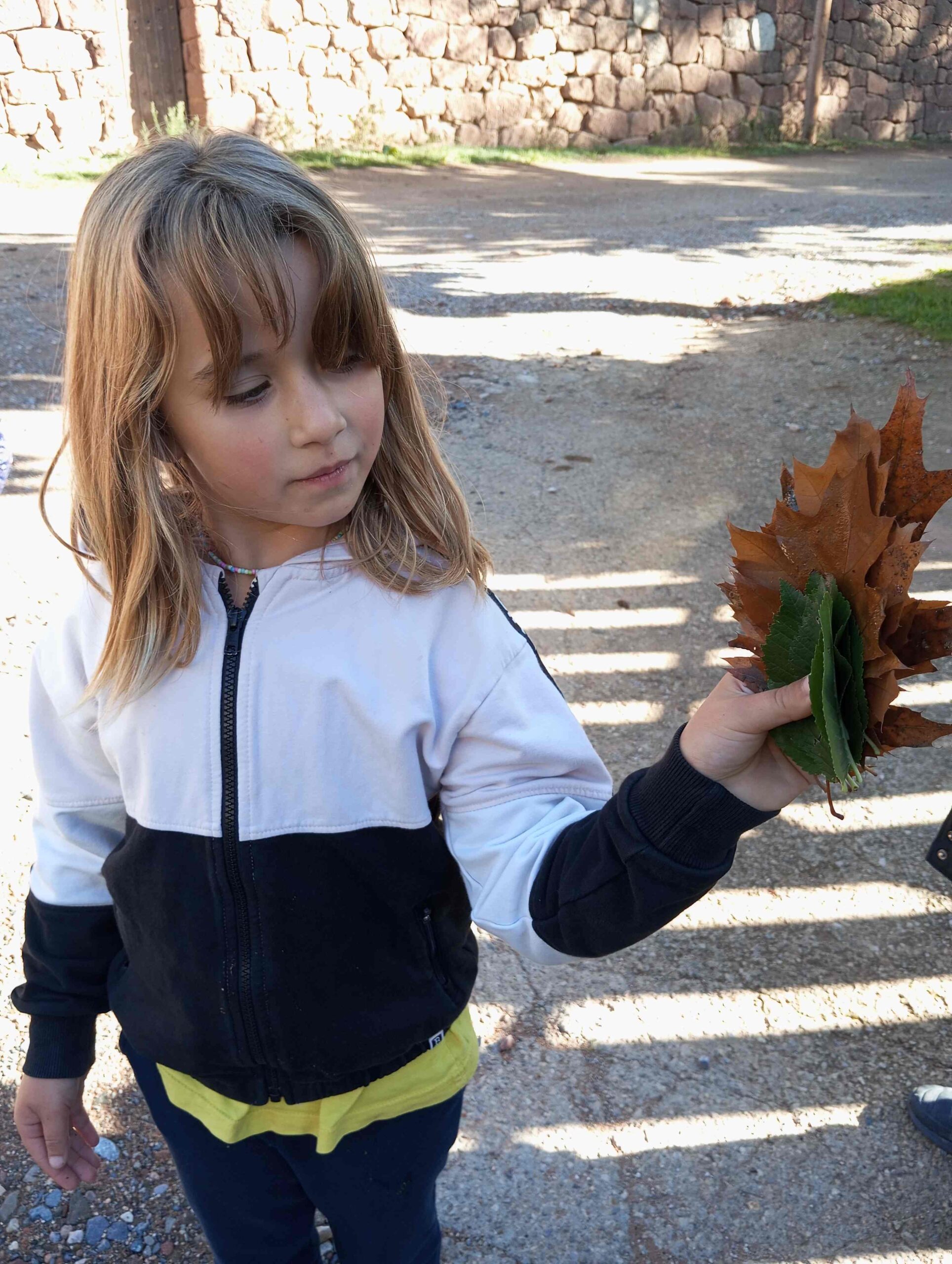 FULLES TARDOR CI EI (4) (Copy)