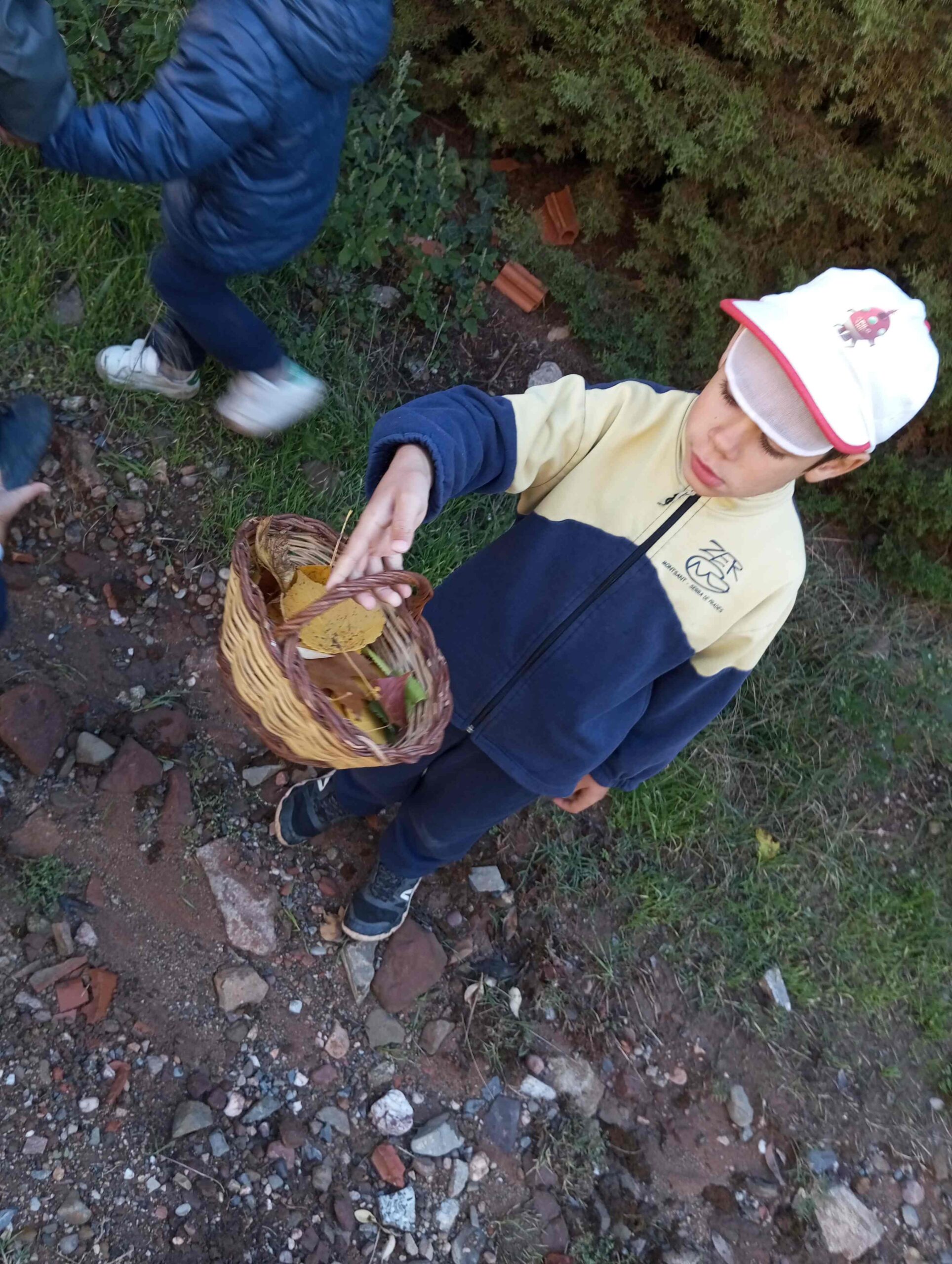 FULLES TARDOR CI EI (5) (Copy)