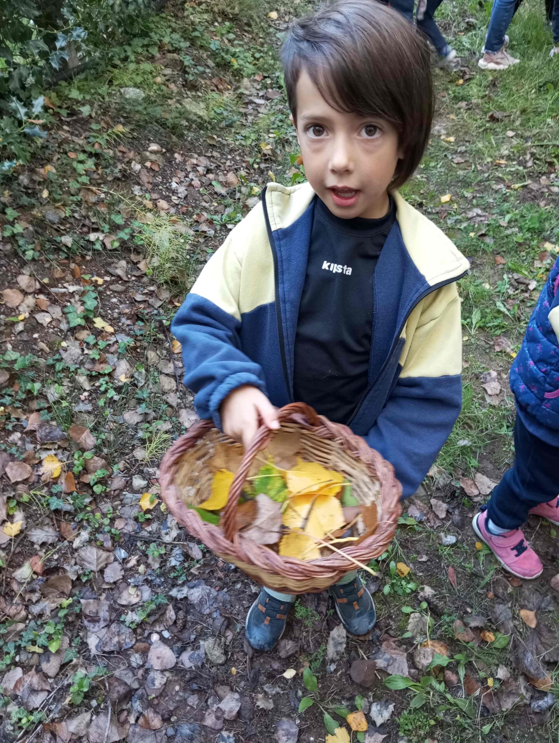 FULLES TARDOR CI EI (6) (Copy)