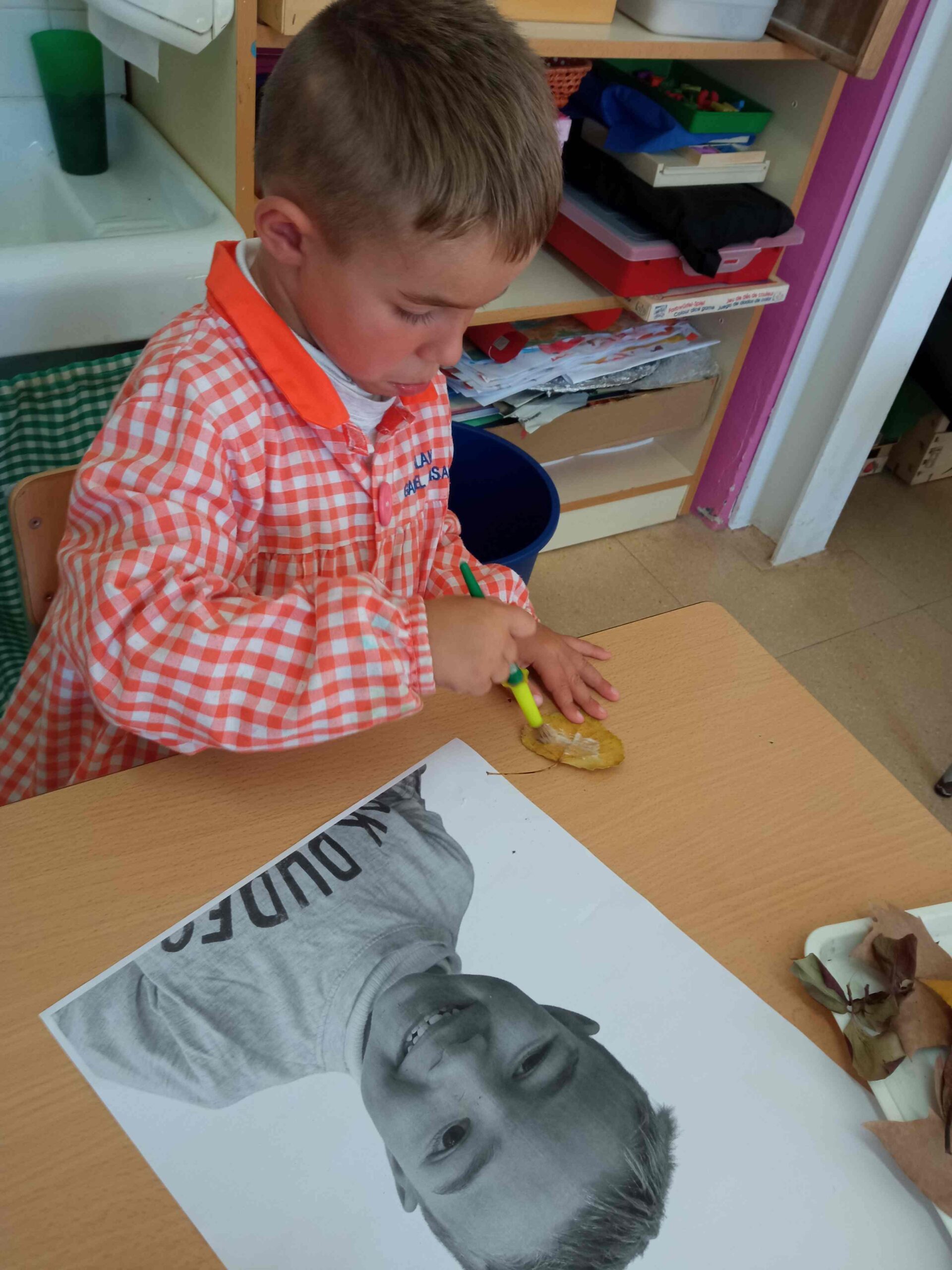 plastica archimboldo (2) (Copy)