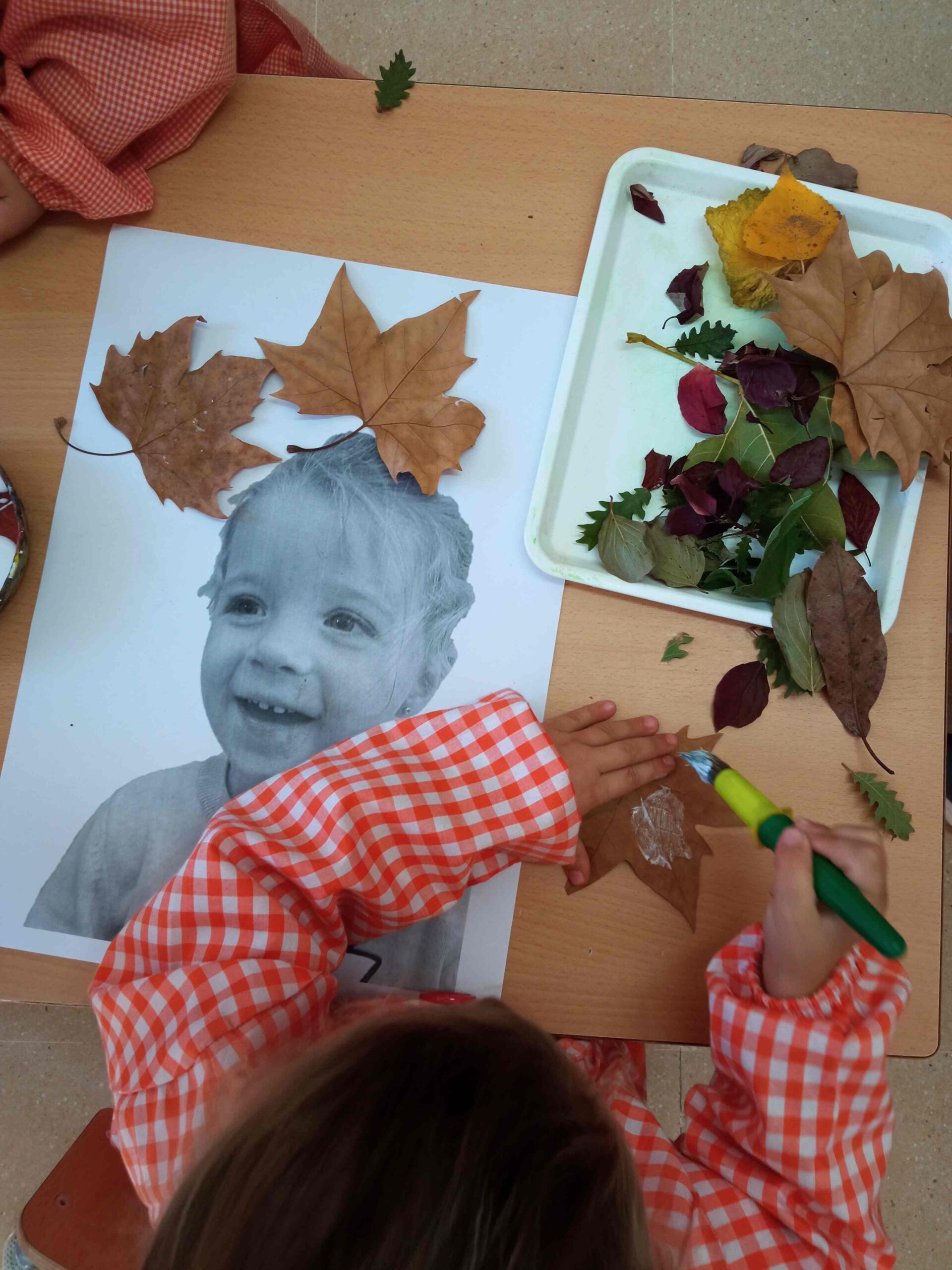 plastica archimboldo (24) (Copy)