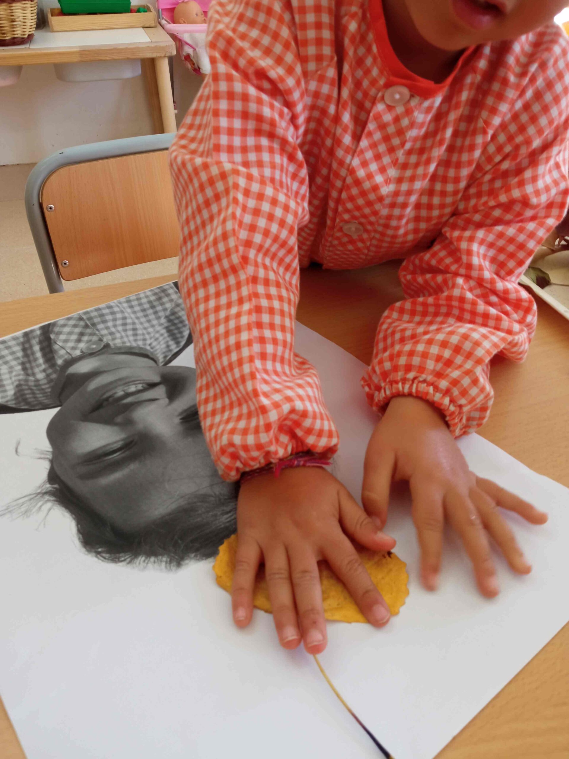 plastica archimboldo (25) (Copy)