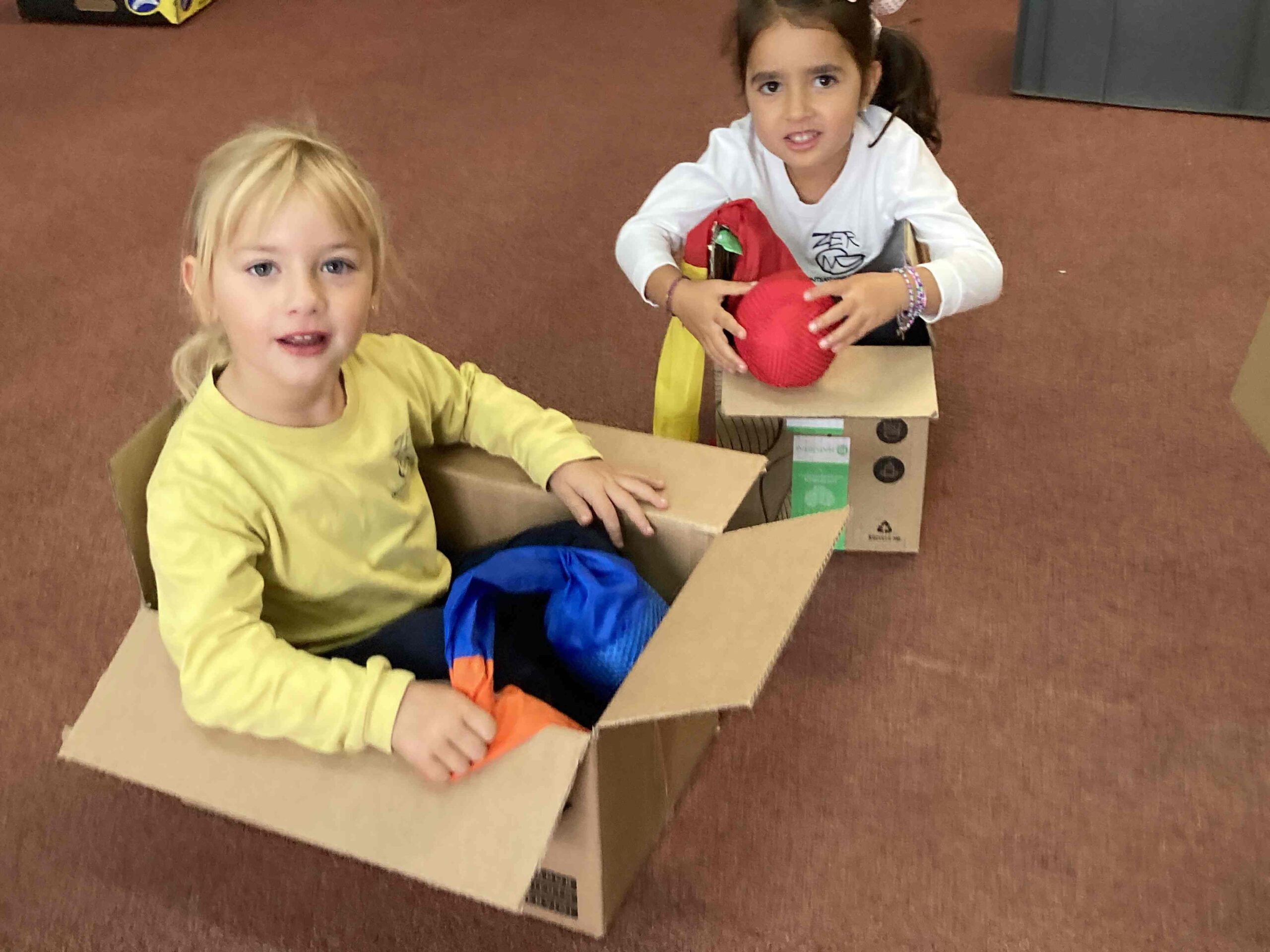 psicomotricitat (1) (Copy)