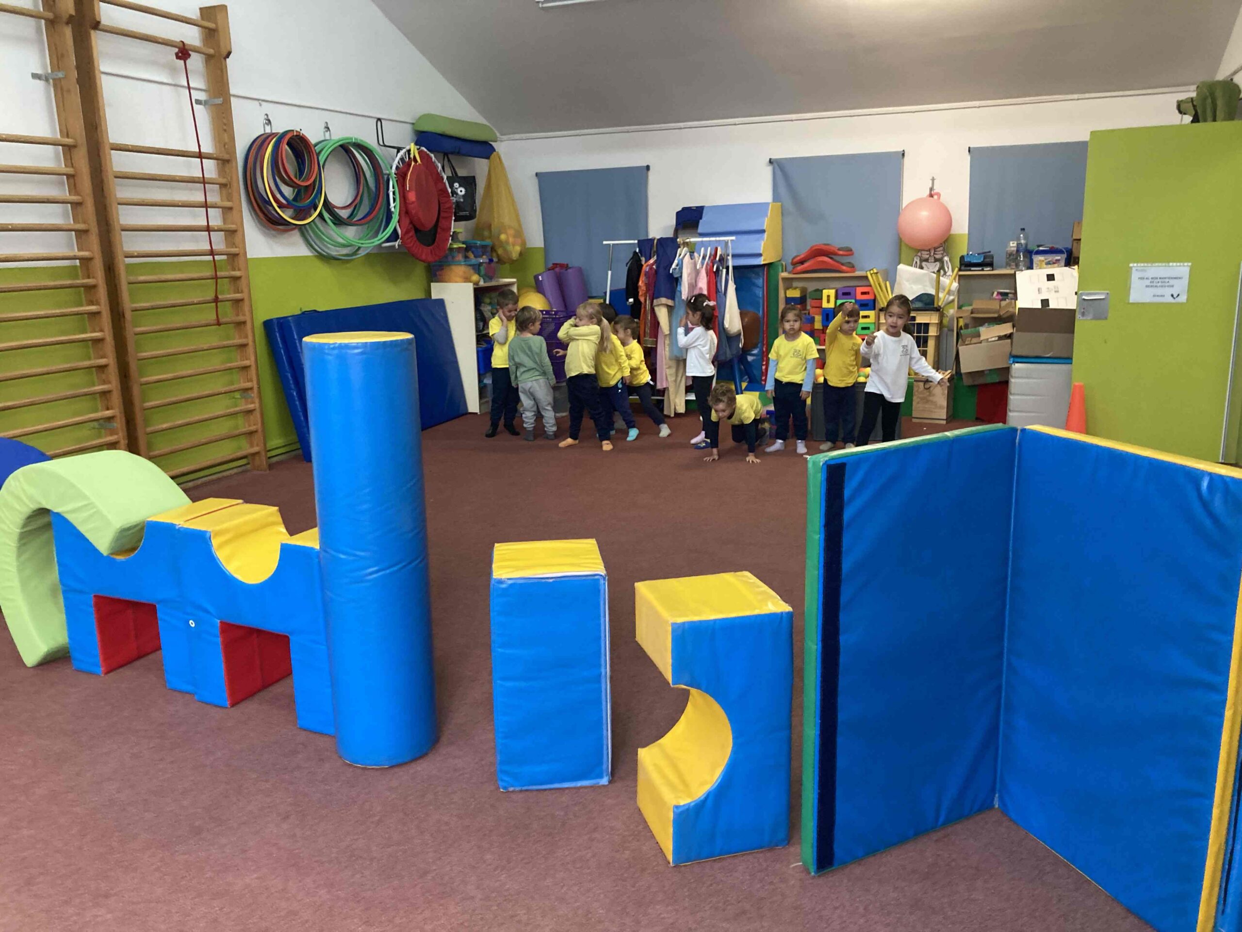 psicomotricitat (15) (Copy)