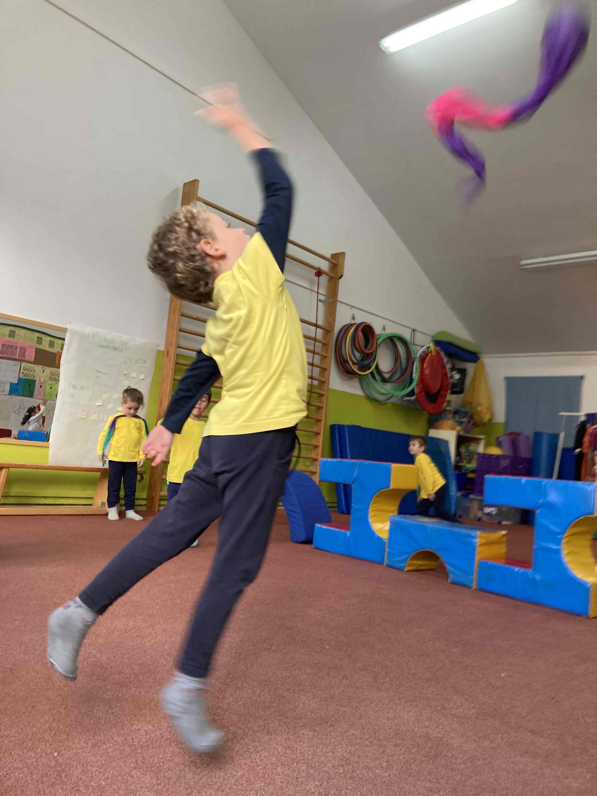 psicomotricitat (20) (Copy)