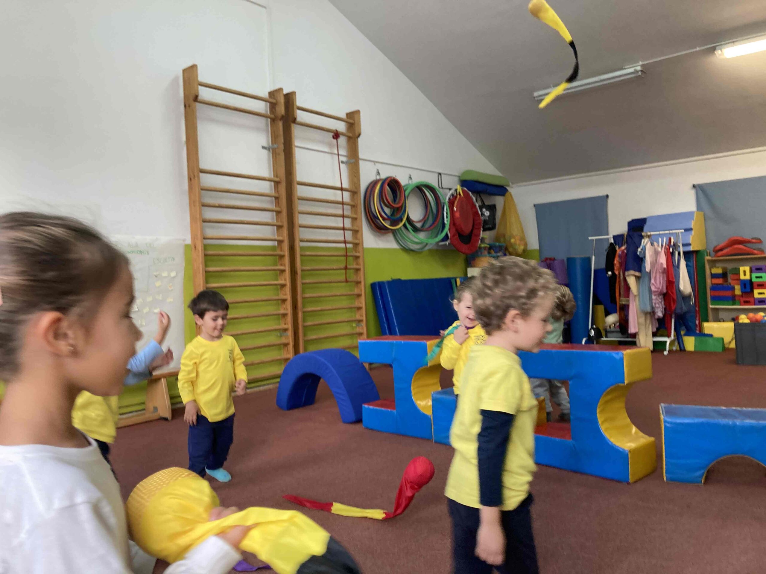 psicomotricitat (21) (Copy)