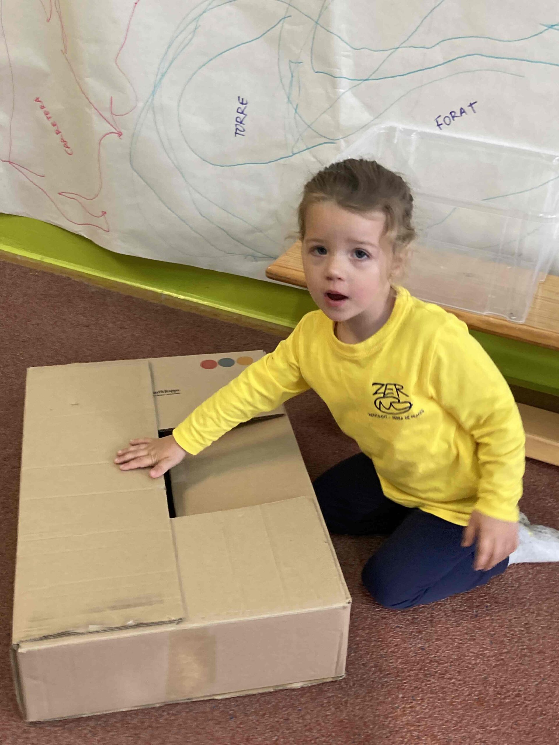 psicomotricitat (3) (Copy)